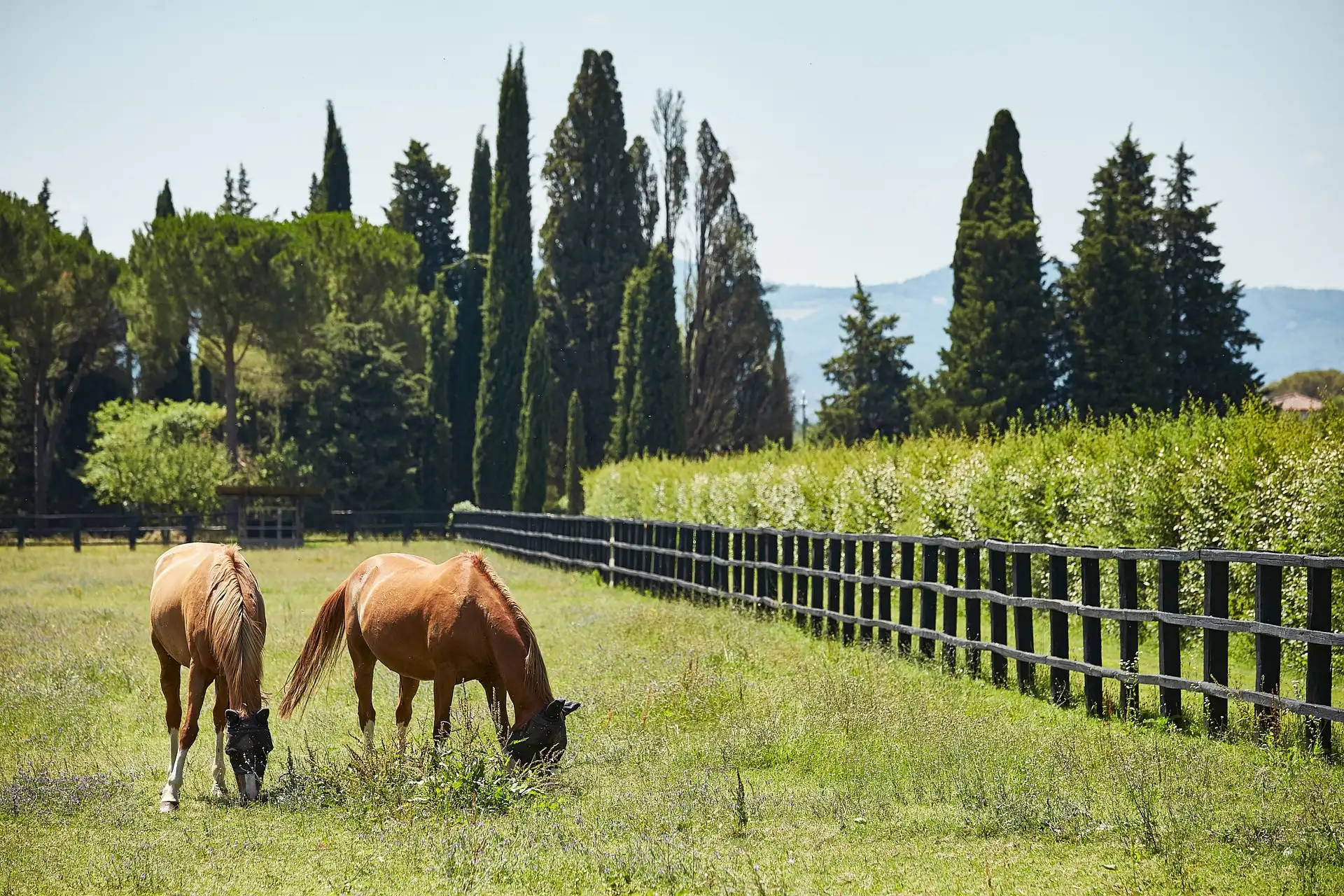 italy wedding locations photos