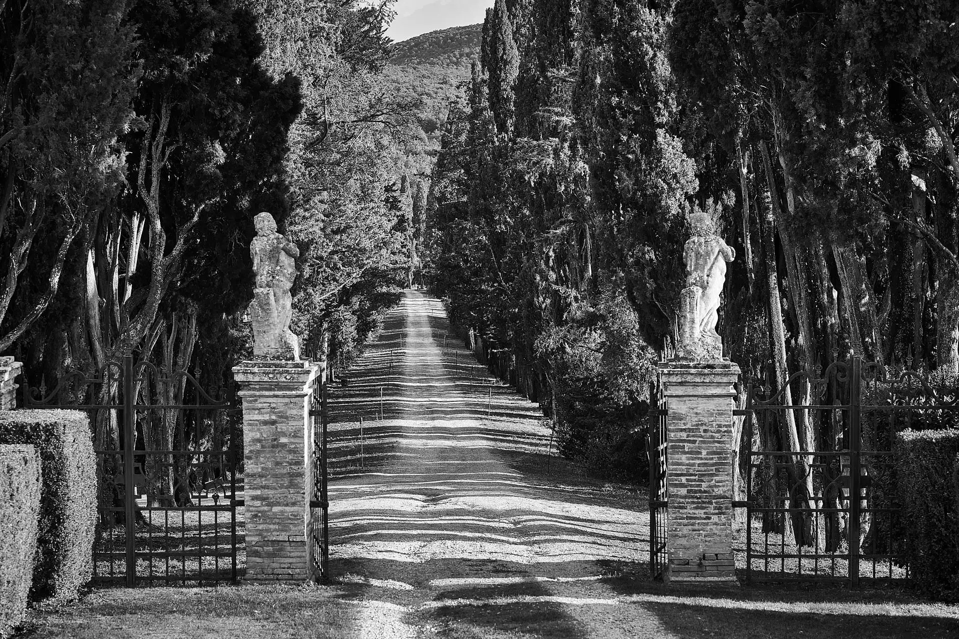 autumn wedding in tuscany