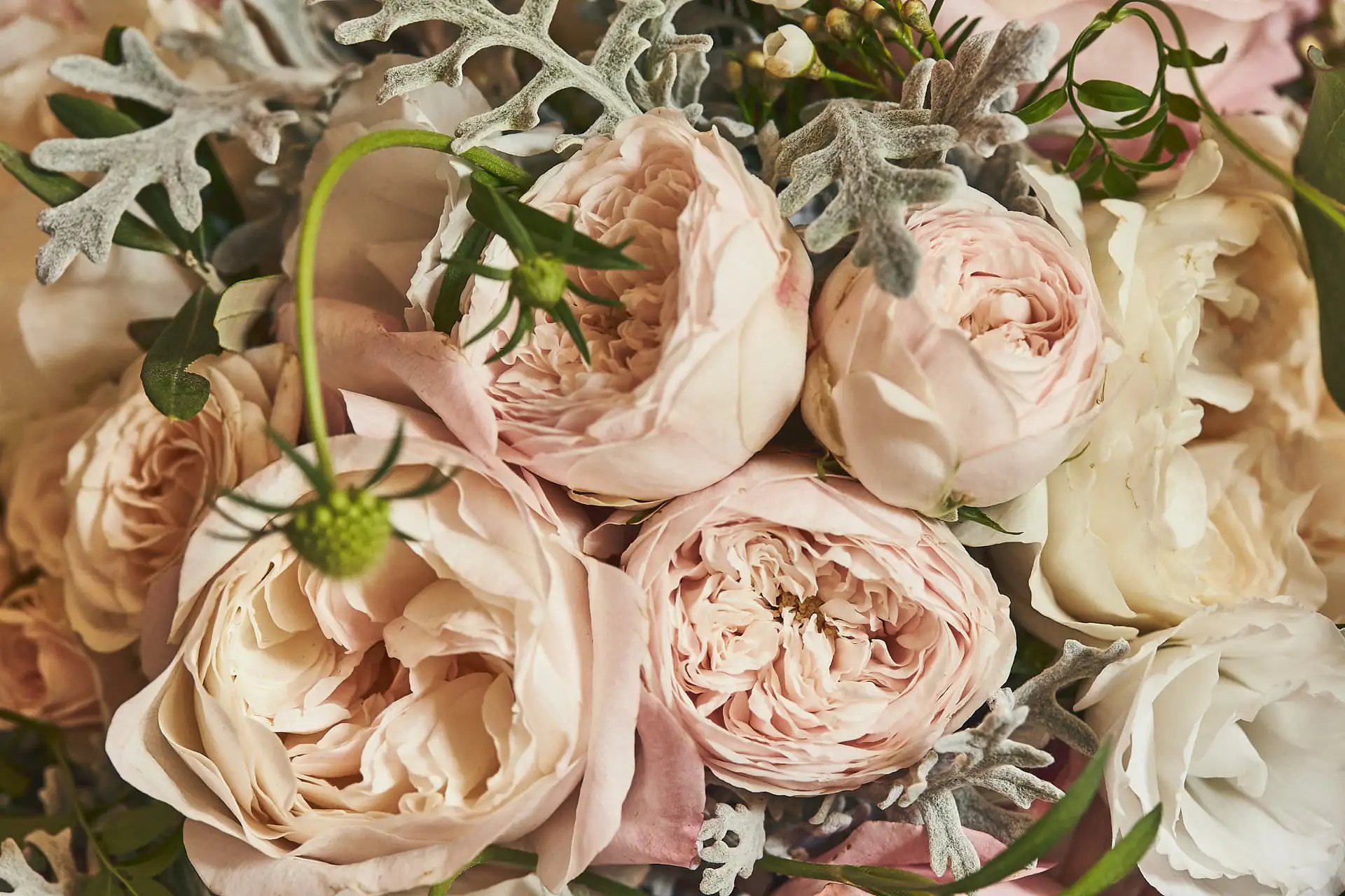 autumn wedding in tuscany