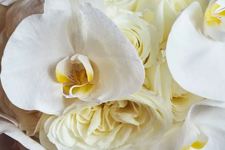 belmond hotel cipriani wedding