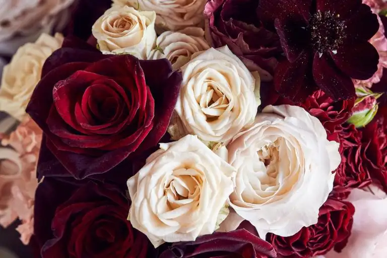 belmond hotel cipriani wedding