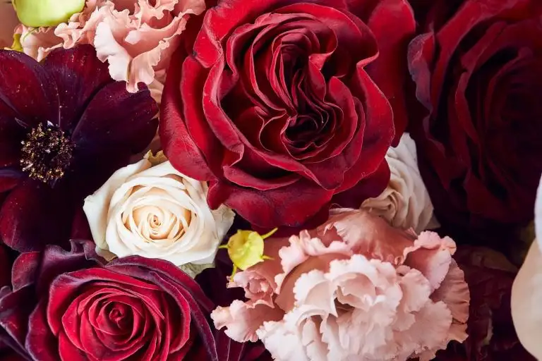 belmond hotel cipriani wedding