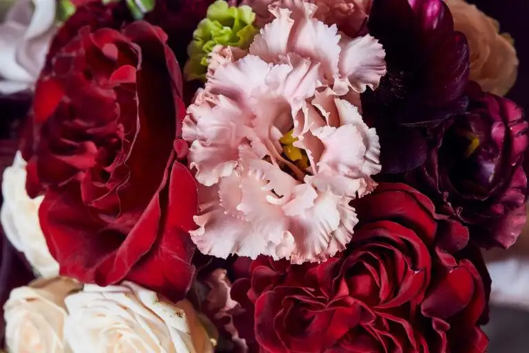 belmond hotel cipriani wedding