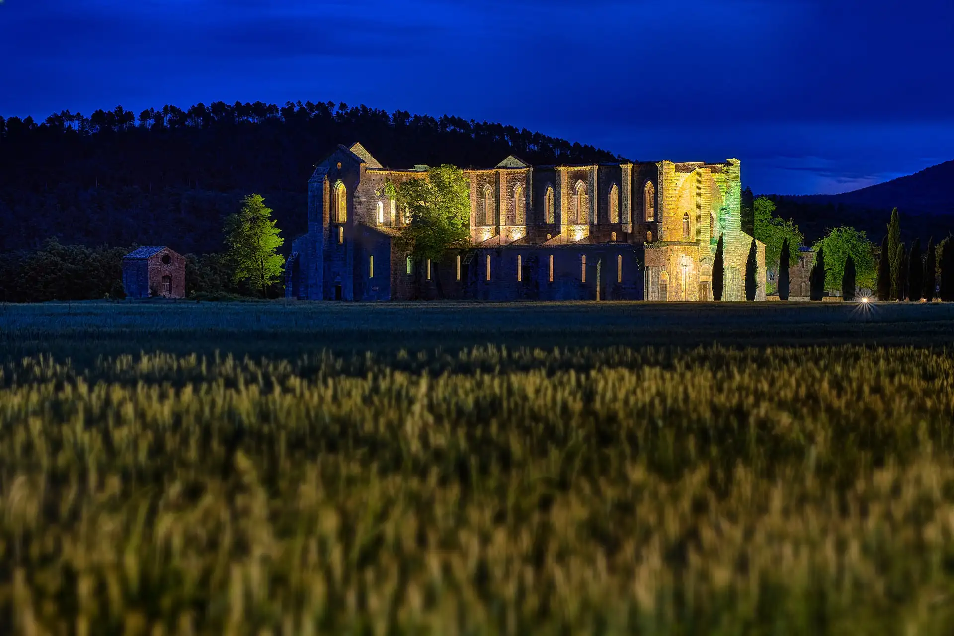 borgo santo pietro wedding