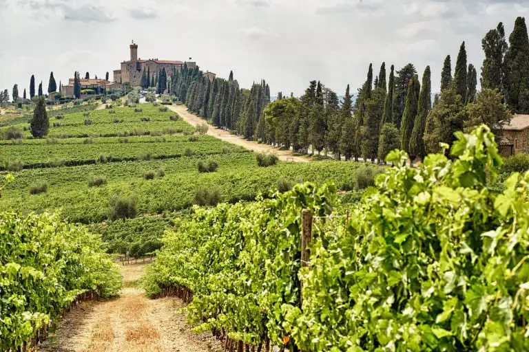 castello di banfi wedding elopement