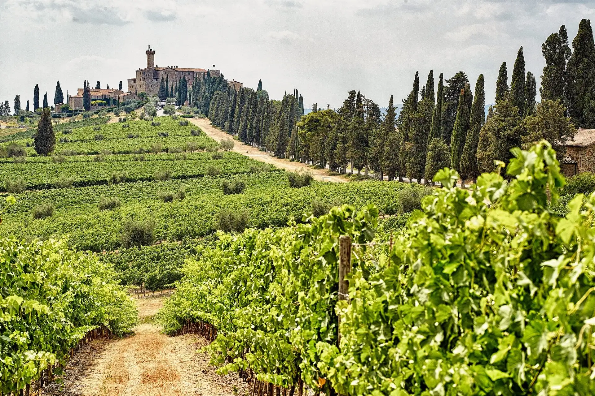 castello di banfi wedding elopement