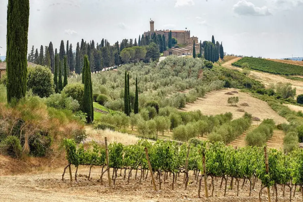 castello di banfi wedding elopement