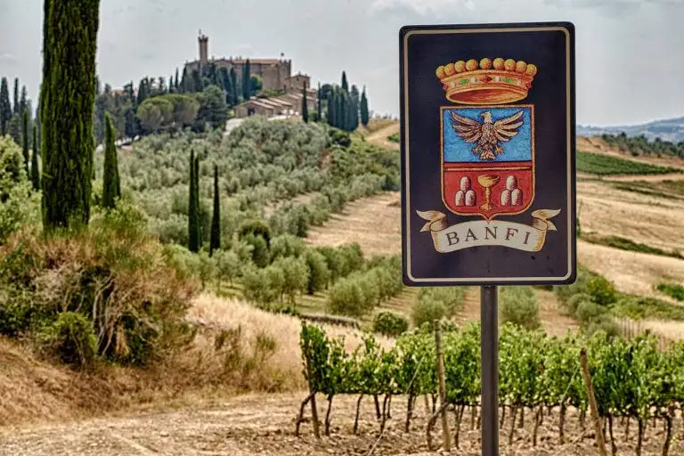 castello di banfi wedding elopement
