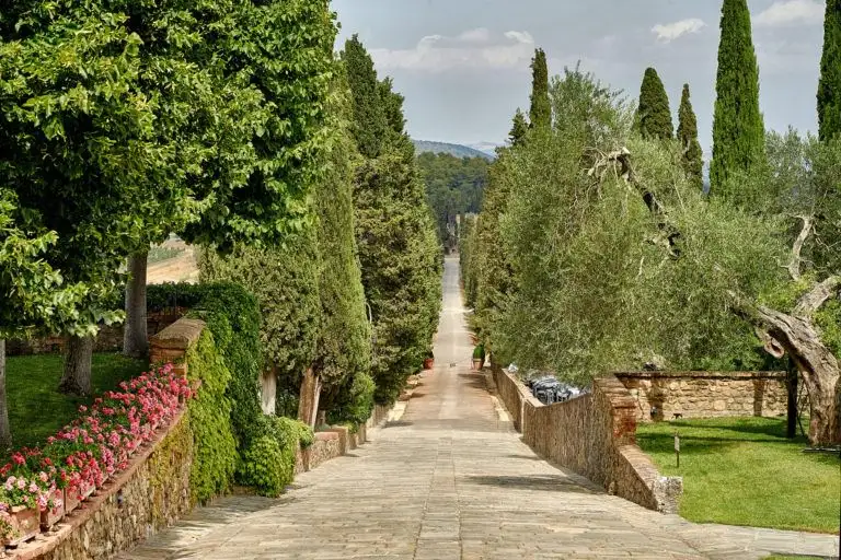 castello di banfi wedding elopement