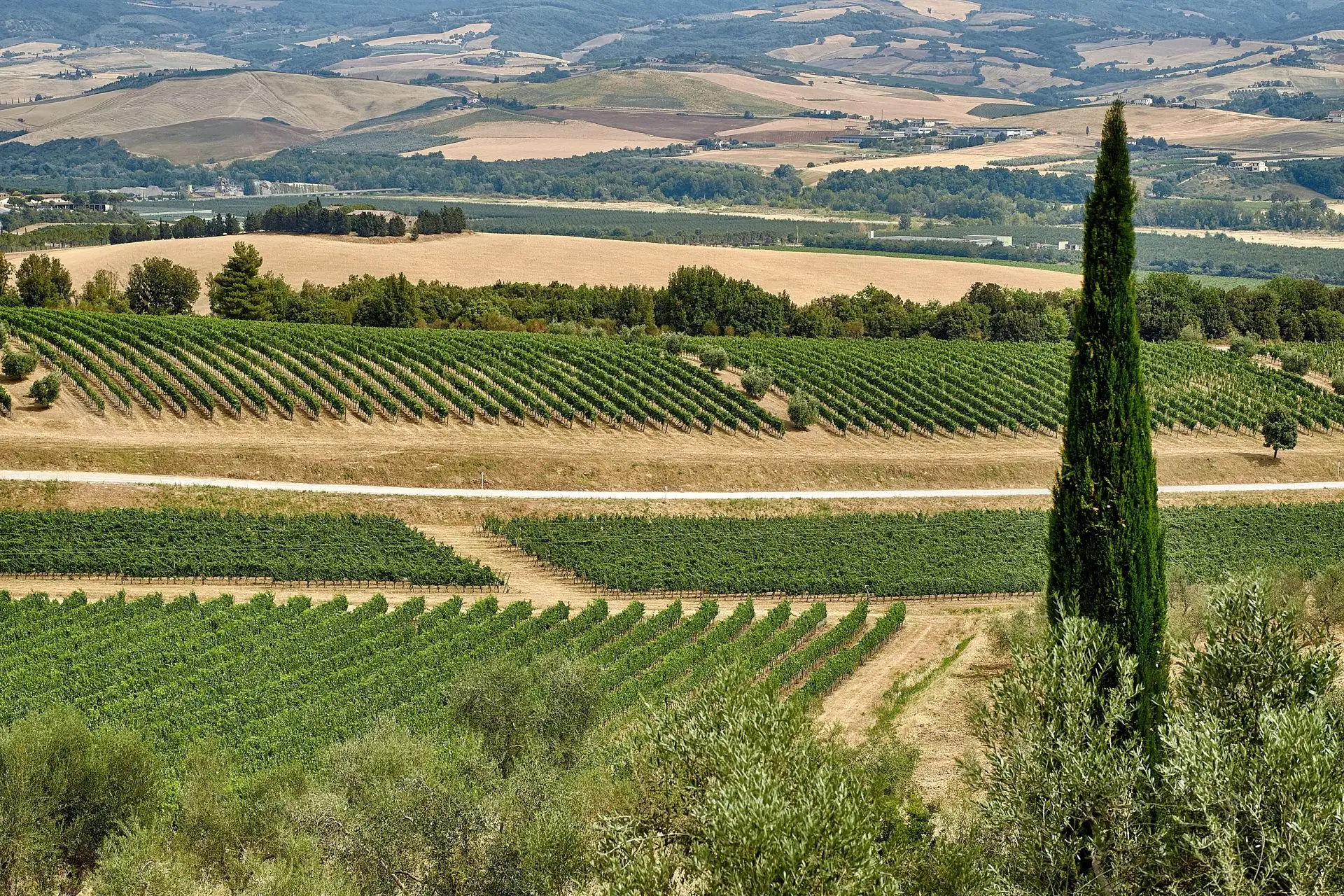 castello di banfi wedding elopement