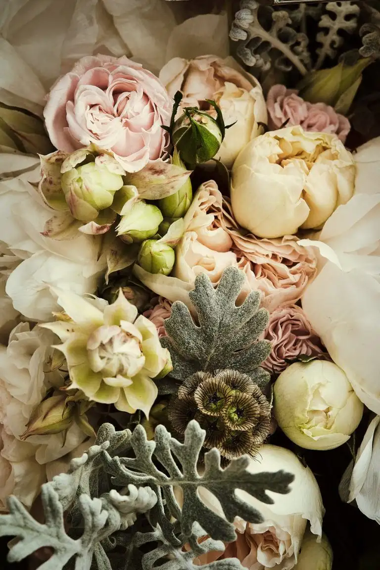 castello di banfi wedding elopement