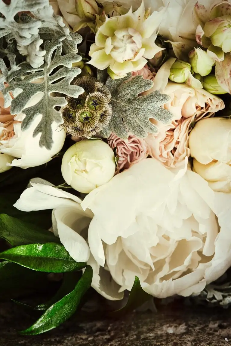 castello di banfi wedding elopement