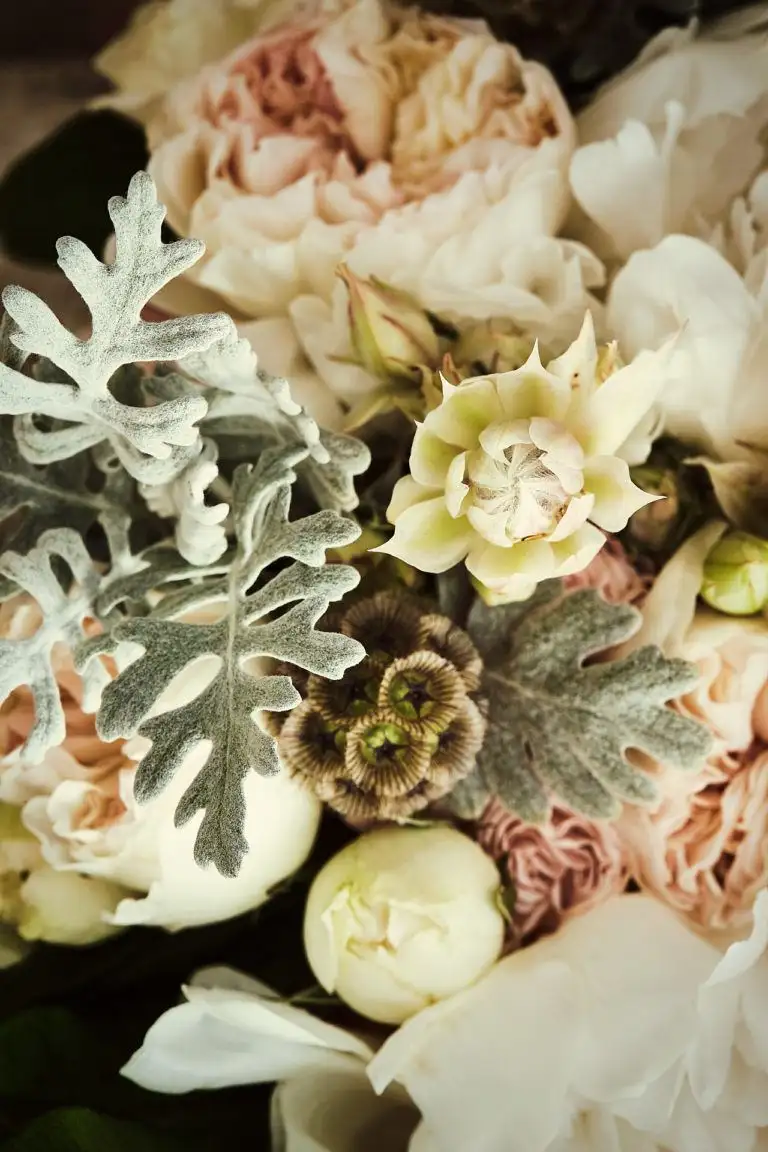 castello di banfi wedding elopement