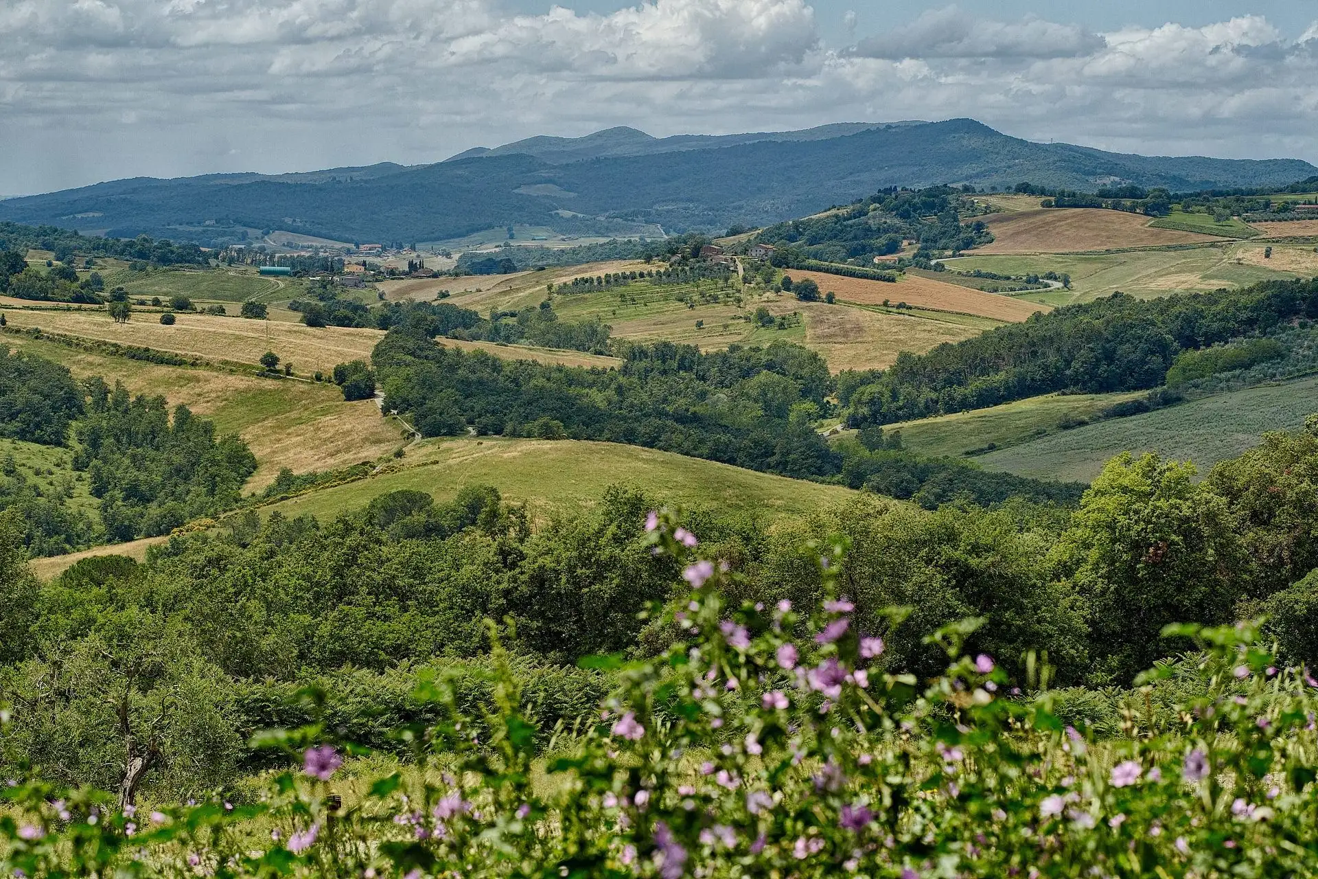 castello di casole wedding
