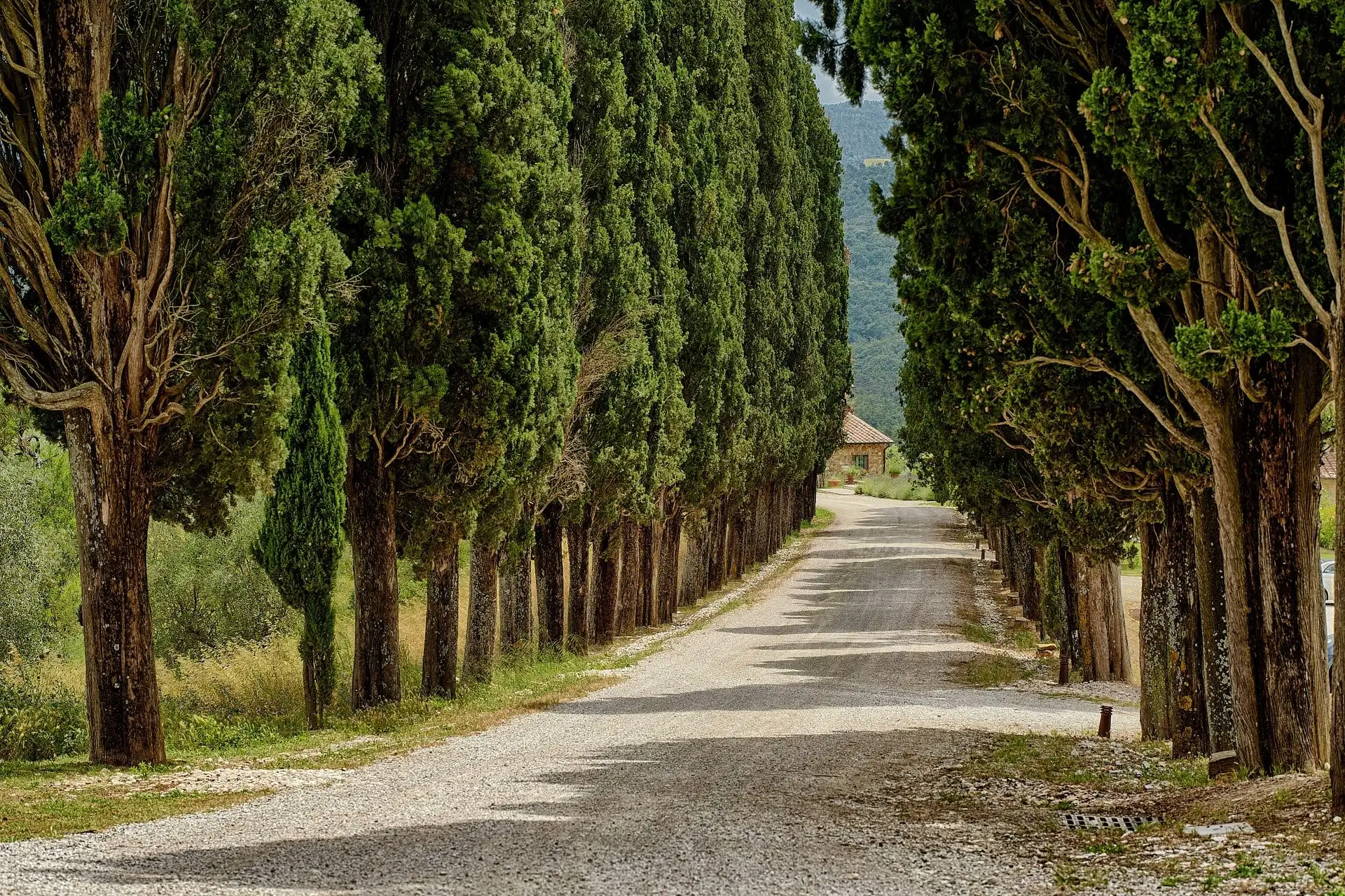 castello di casole wedding