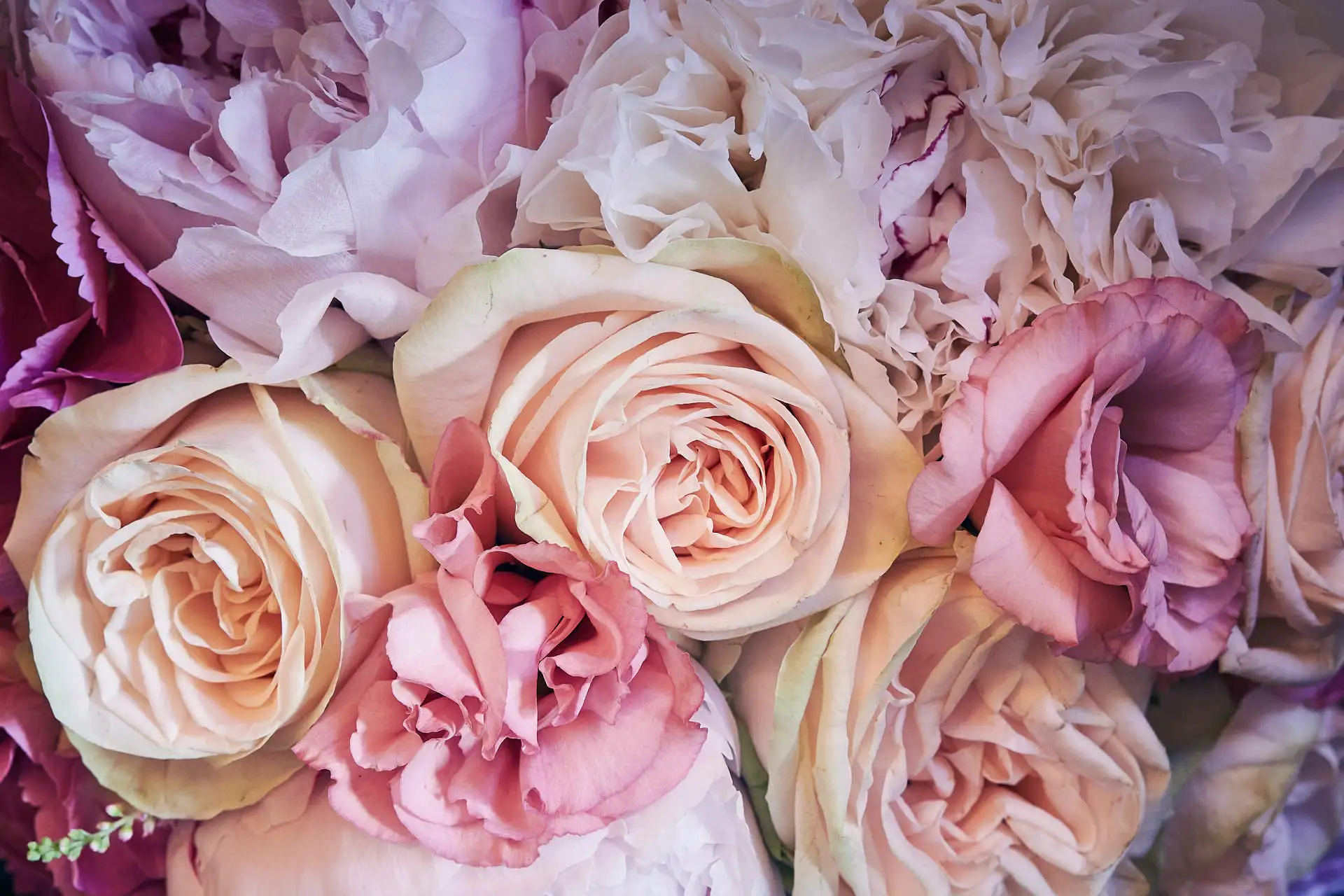 castello di casole wedding