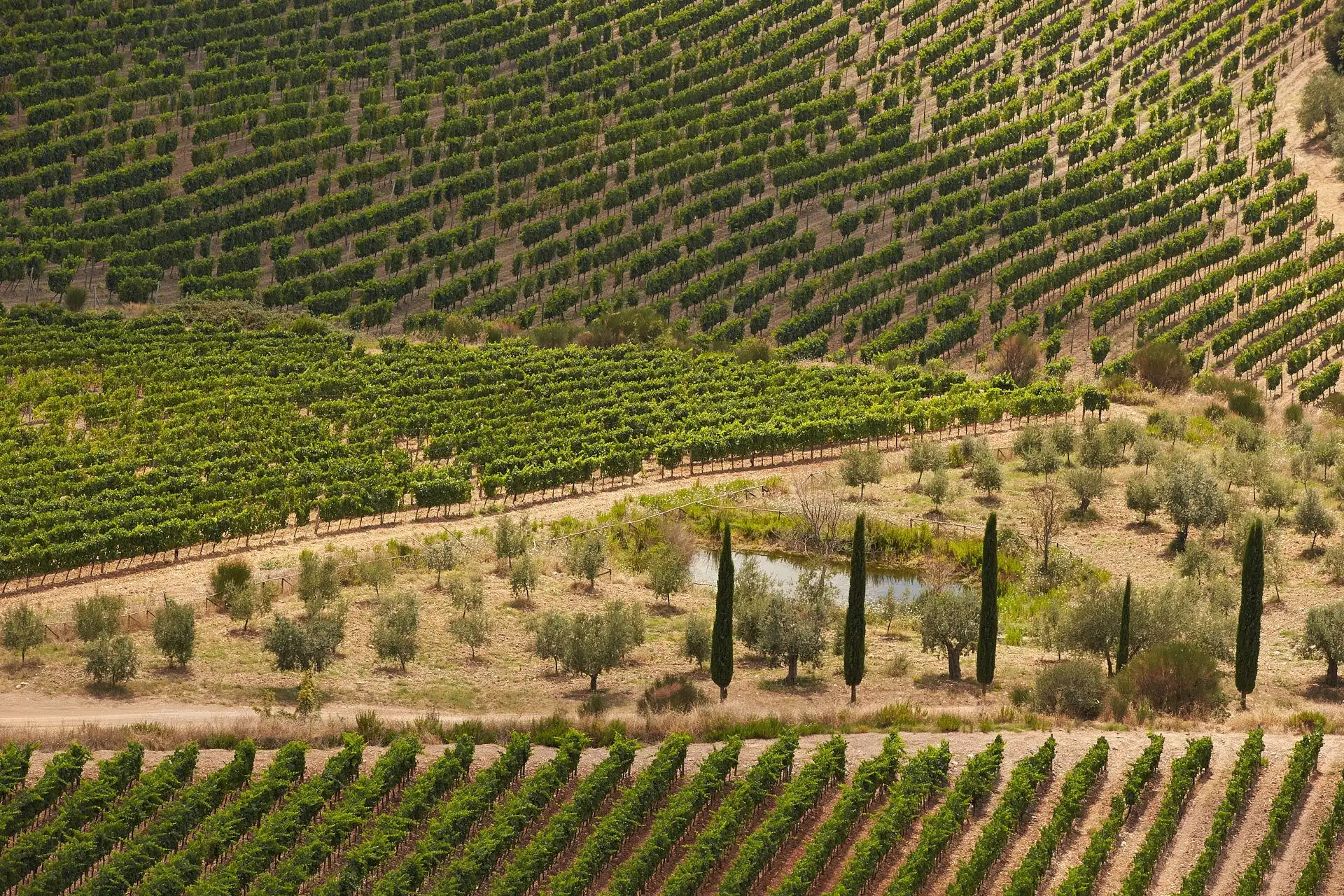 castello di velona wedding
