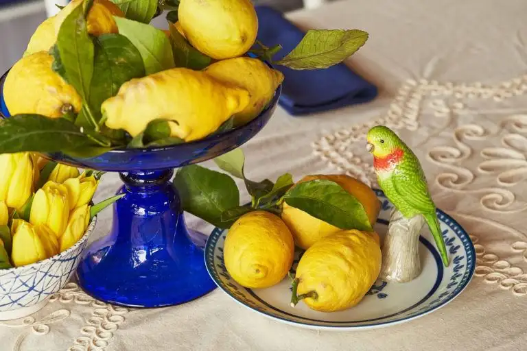 costa smeralda pool party