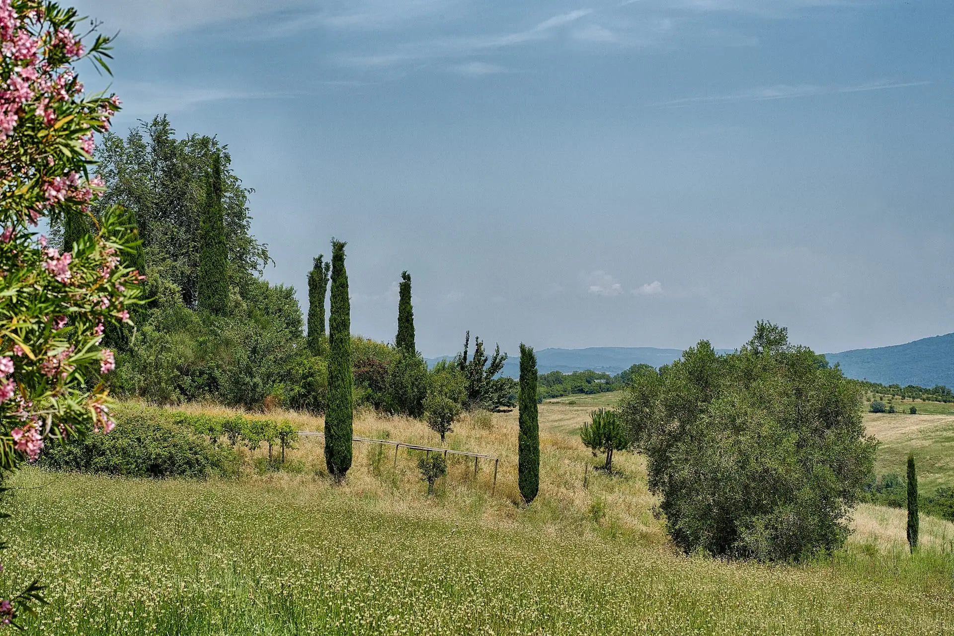 fattoria nuova pievanella wedding