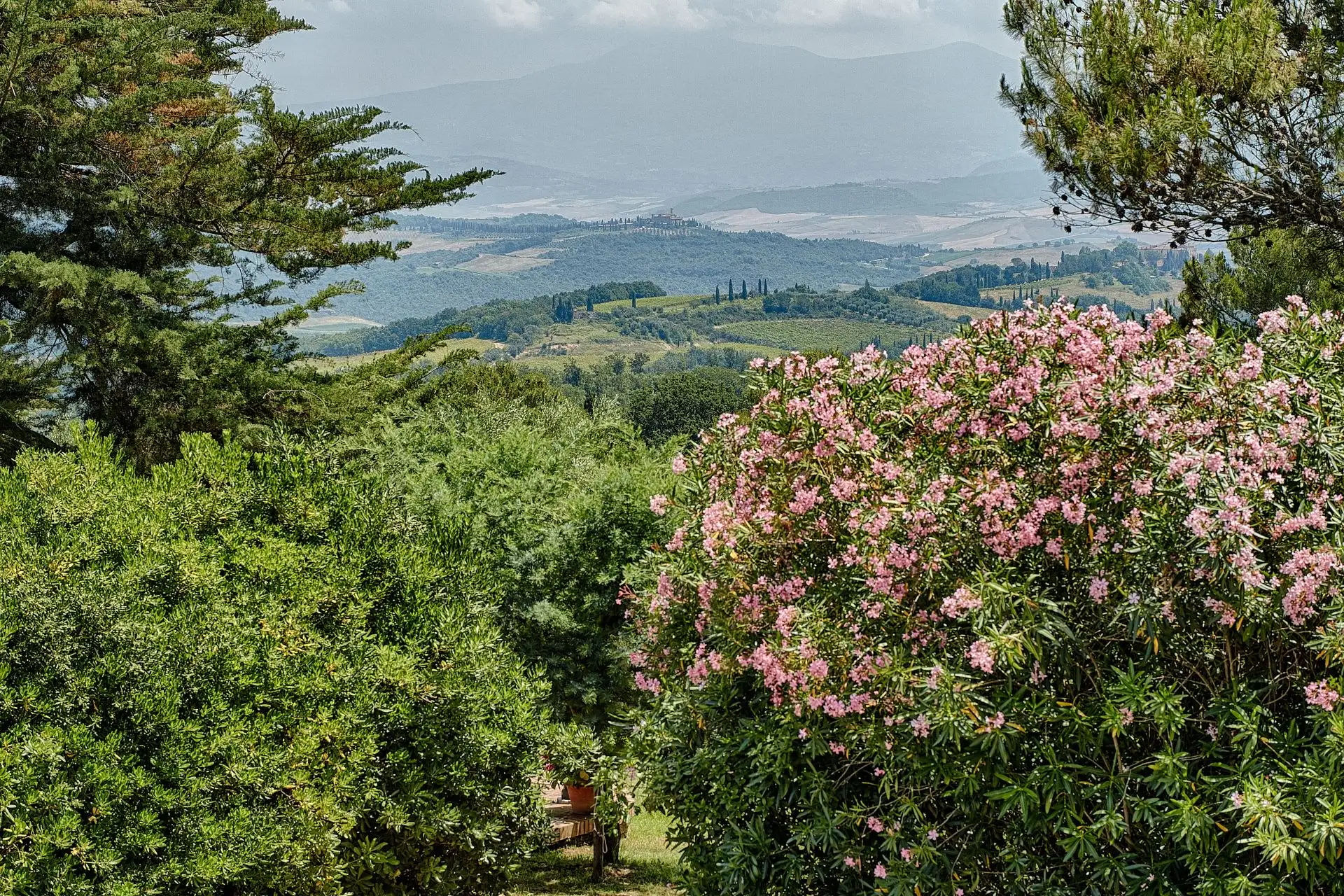 fattoria nuova pievanella wedding