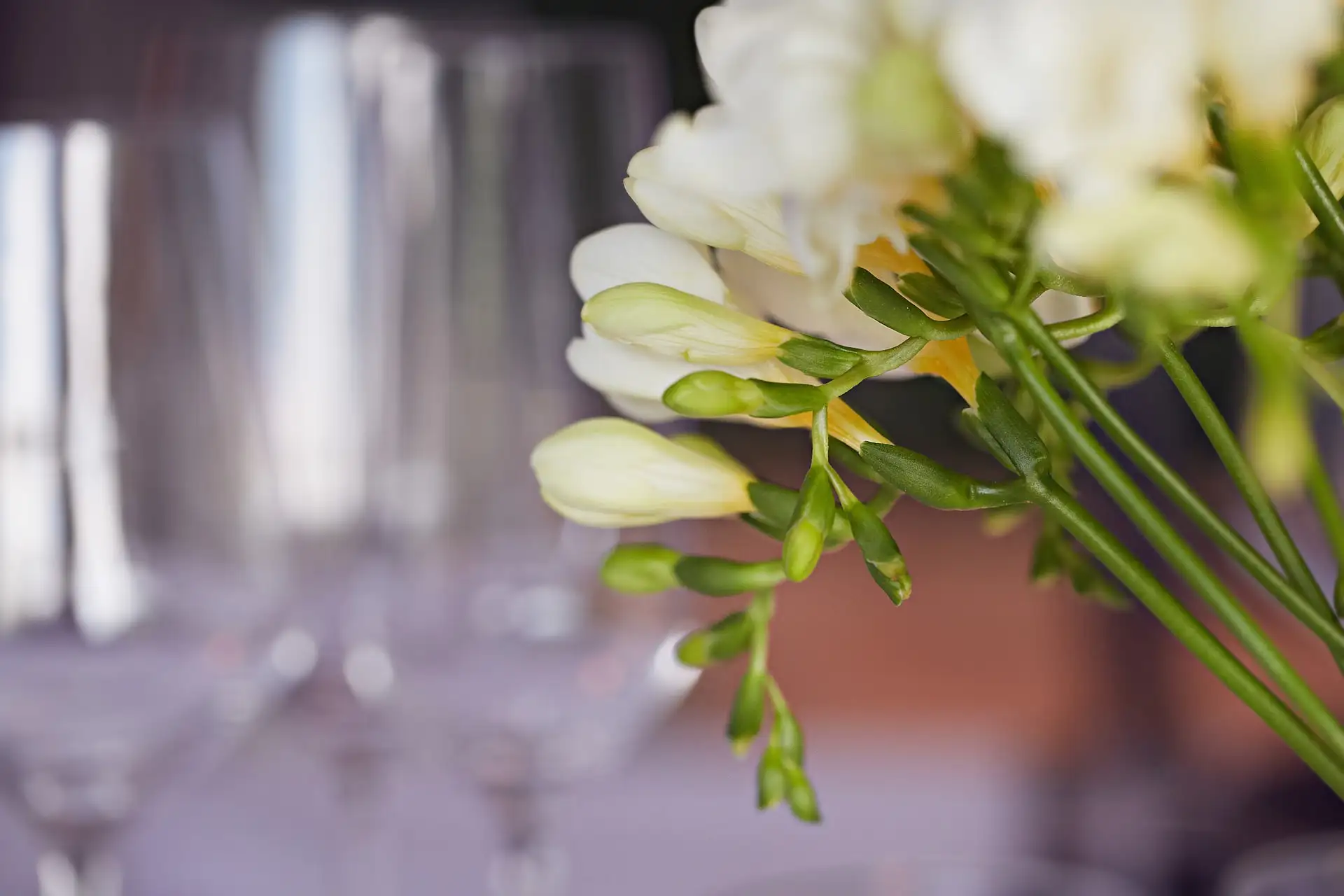 il borro wedding german television star