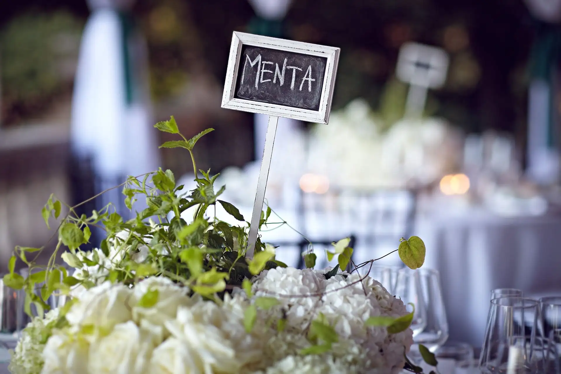il borro wedding german television star