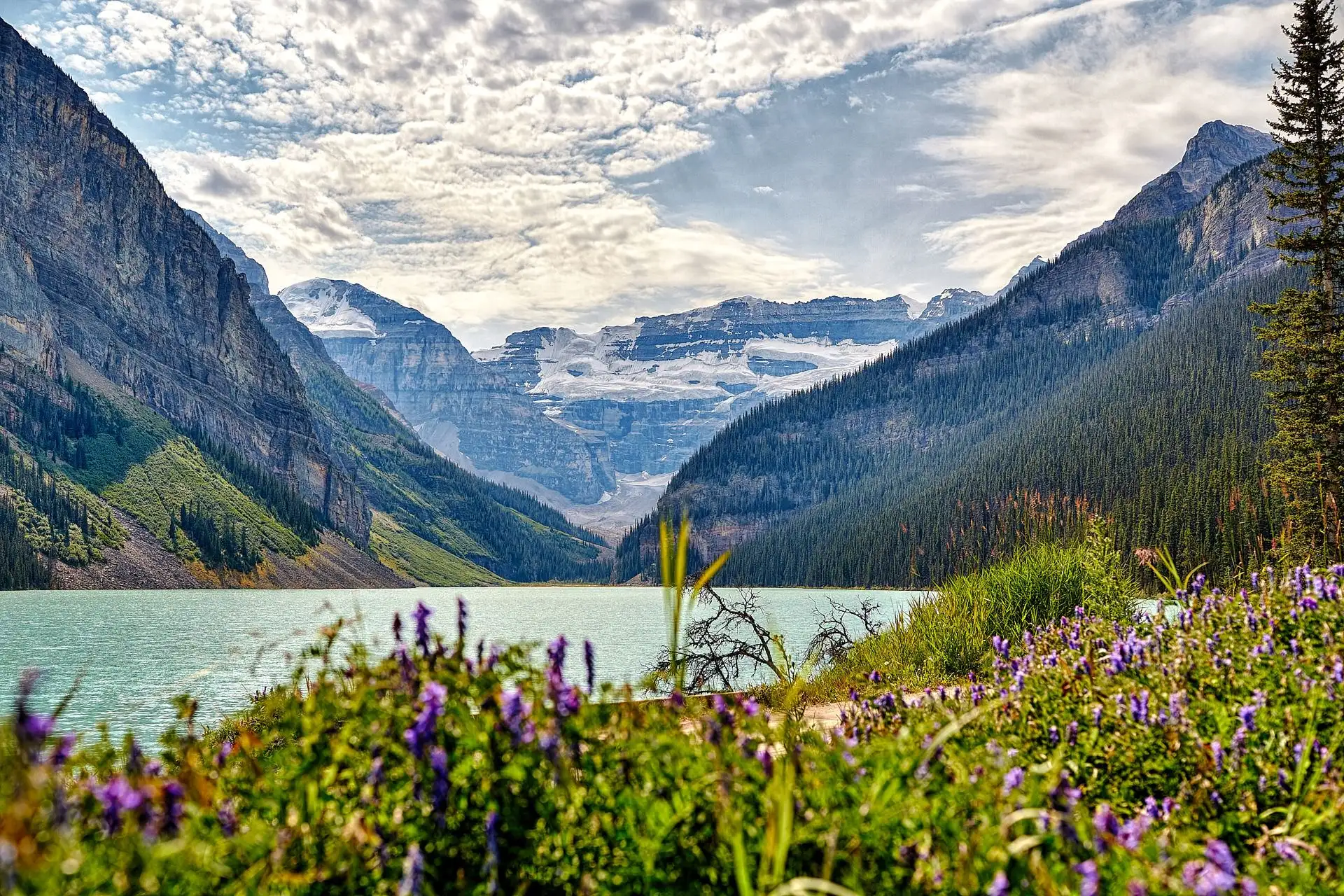 lake louise wedding fairmont chateau