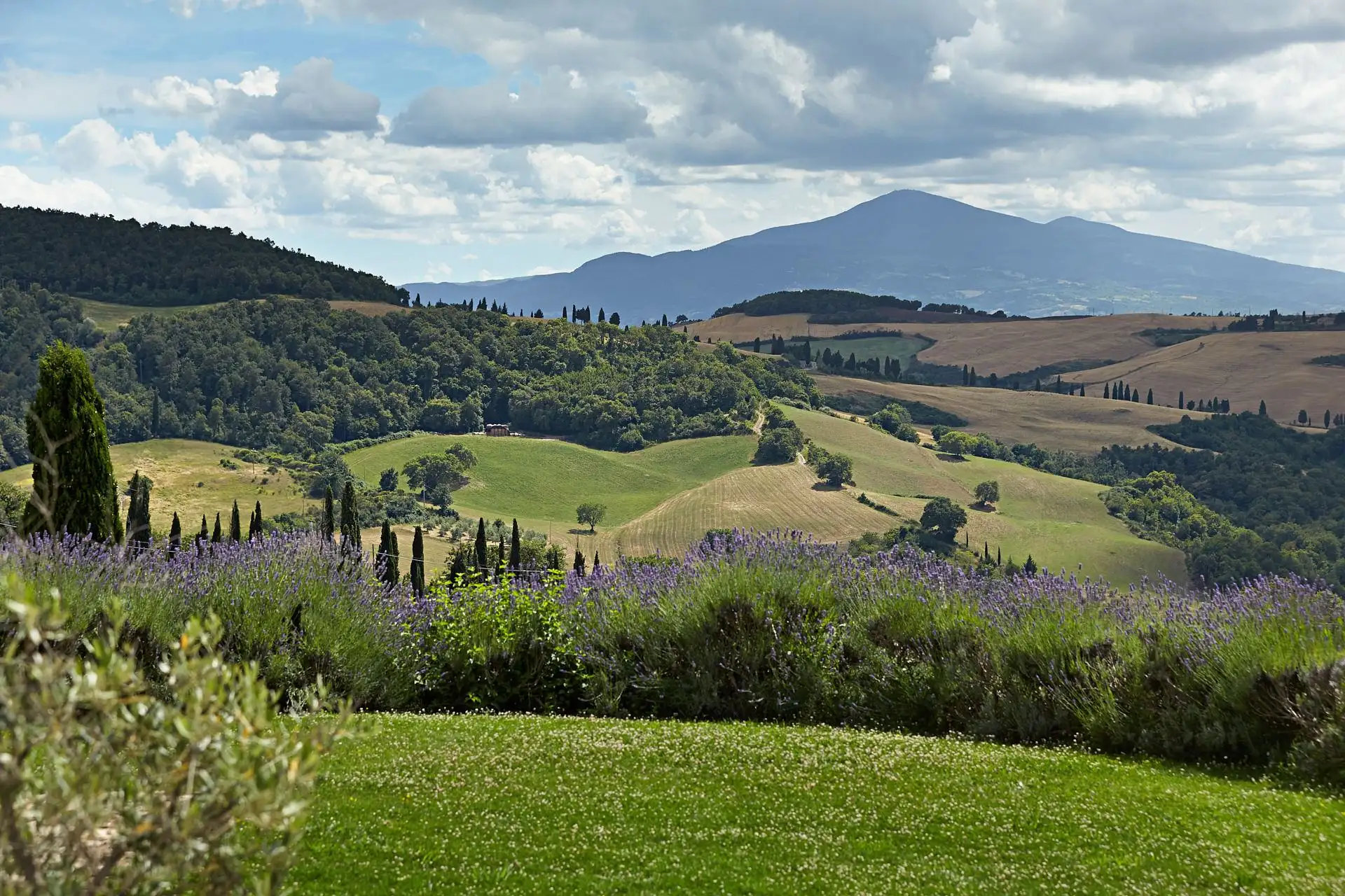montepulciano wedding terre di nano