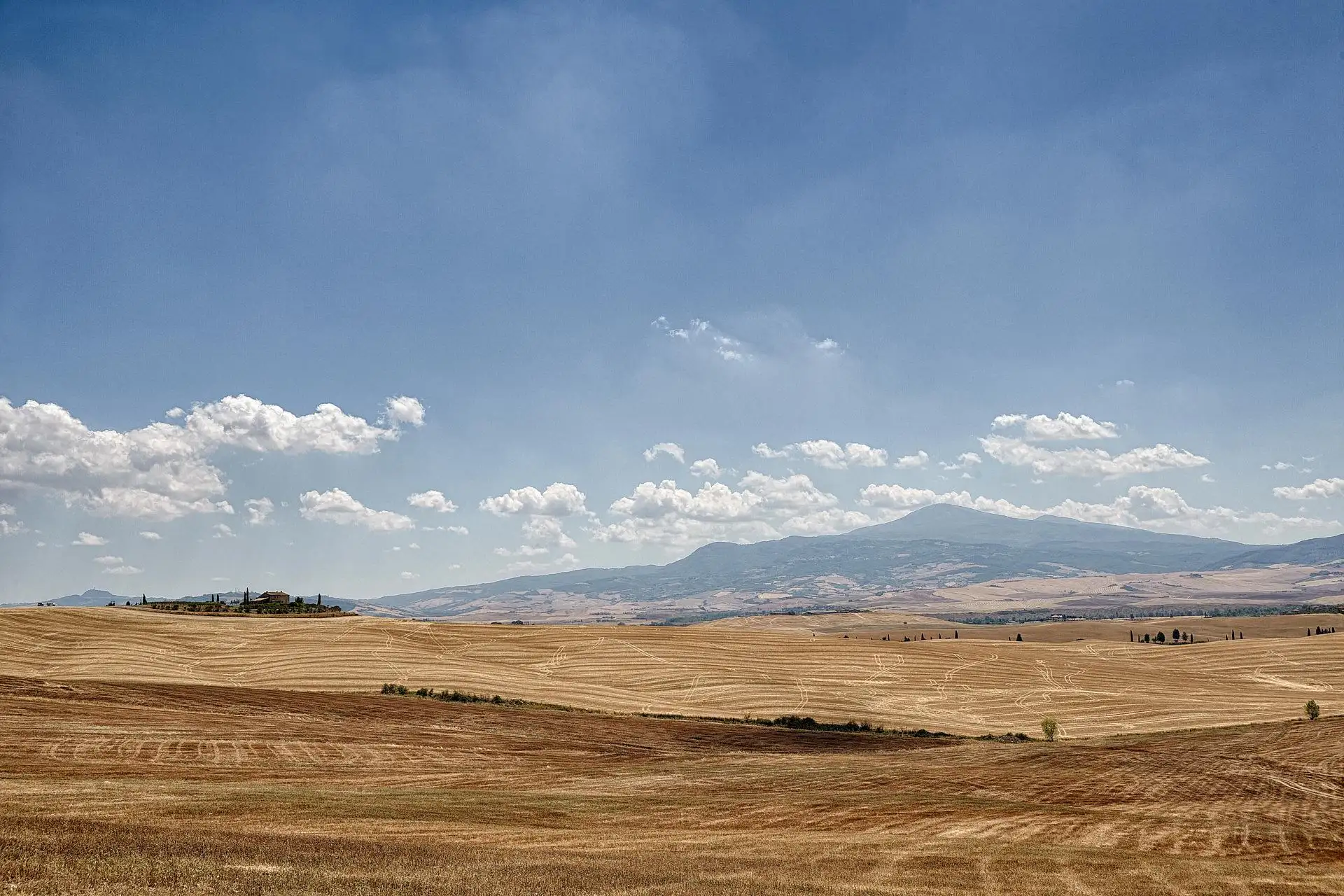olmo podere a pienza wedding