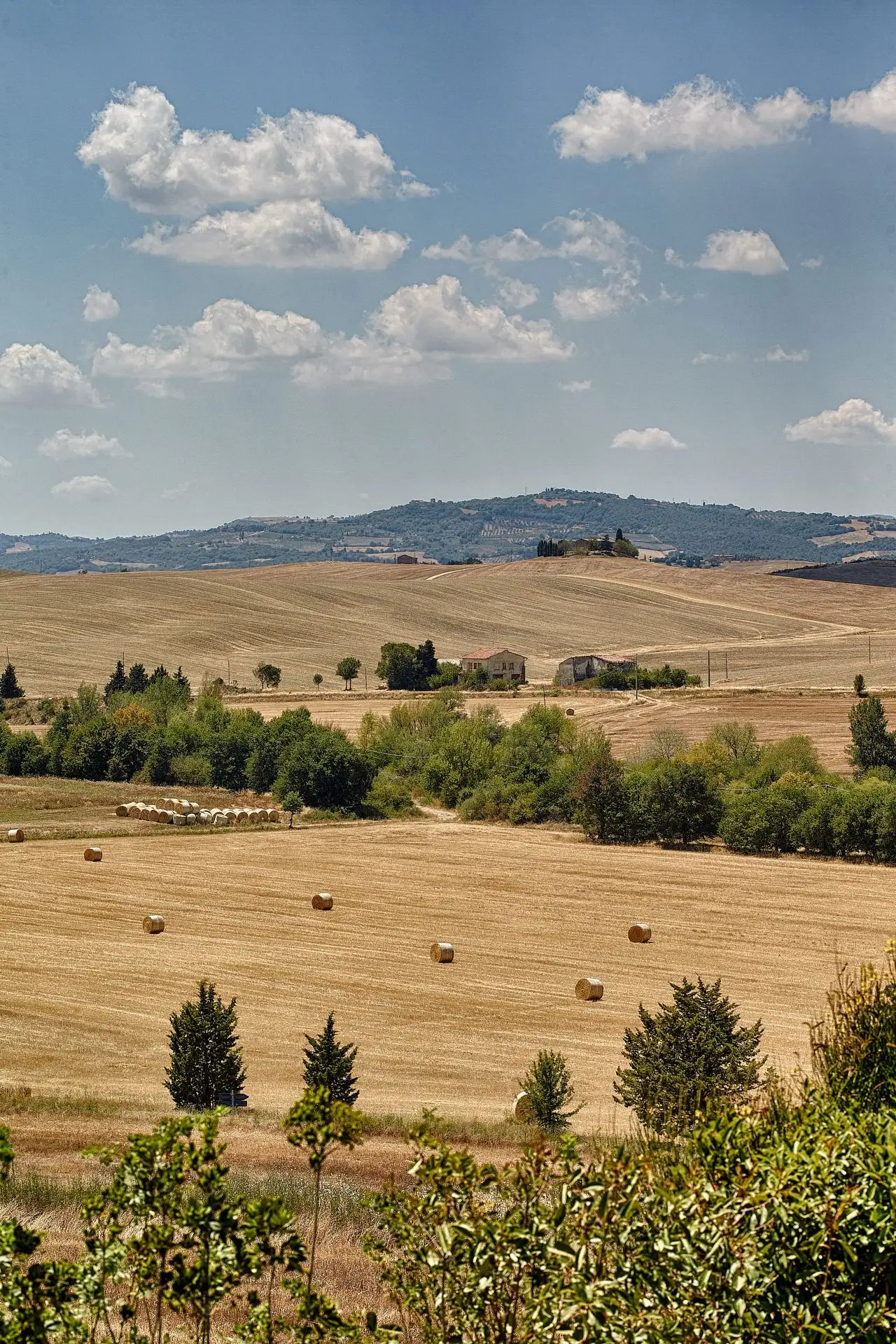 olmo podere a pienza wedding