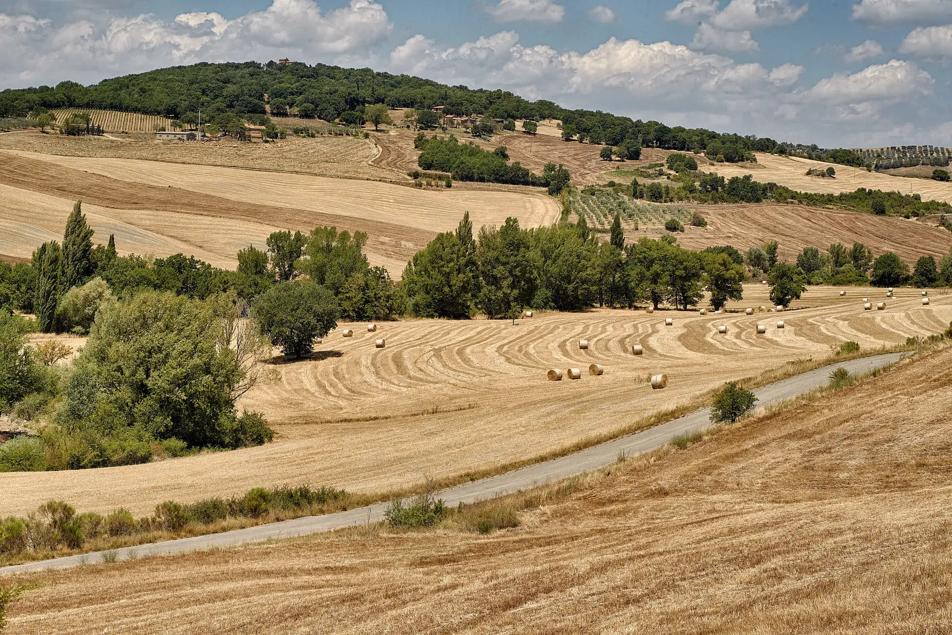 olmo podere a pienza wedding