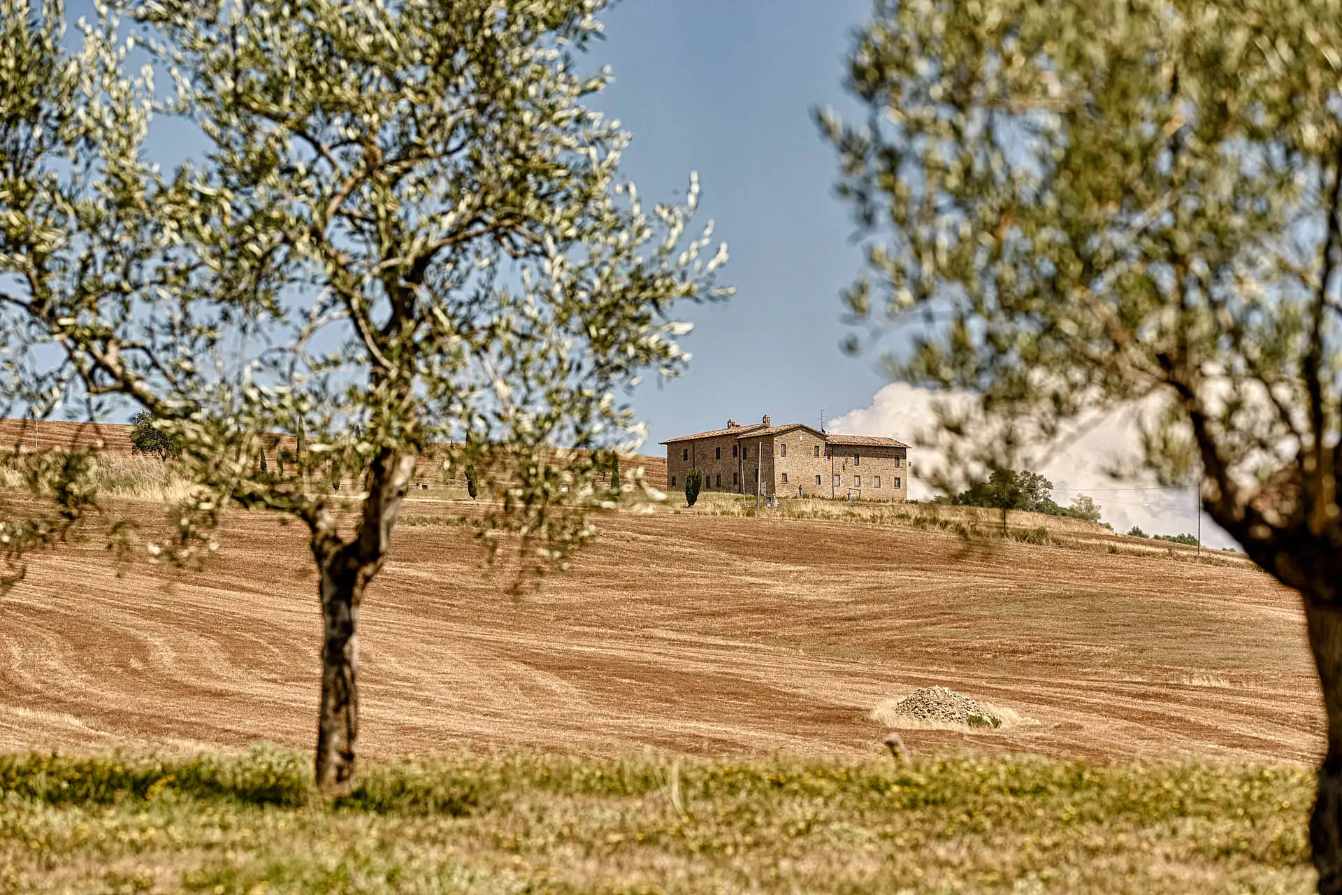 olmo podere a pienza wedding