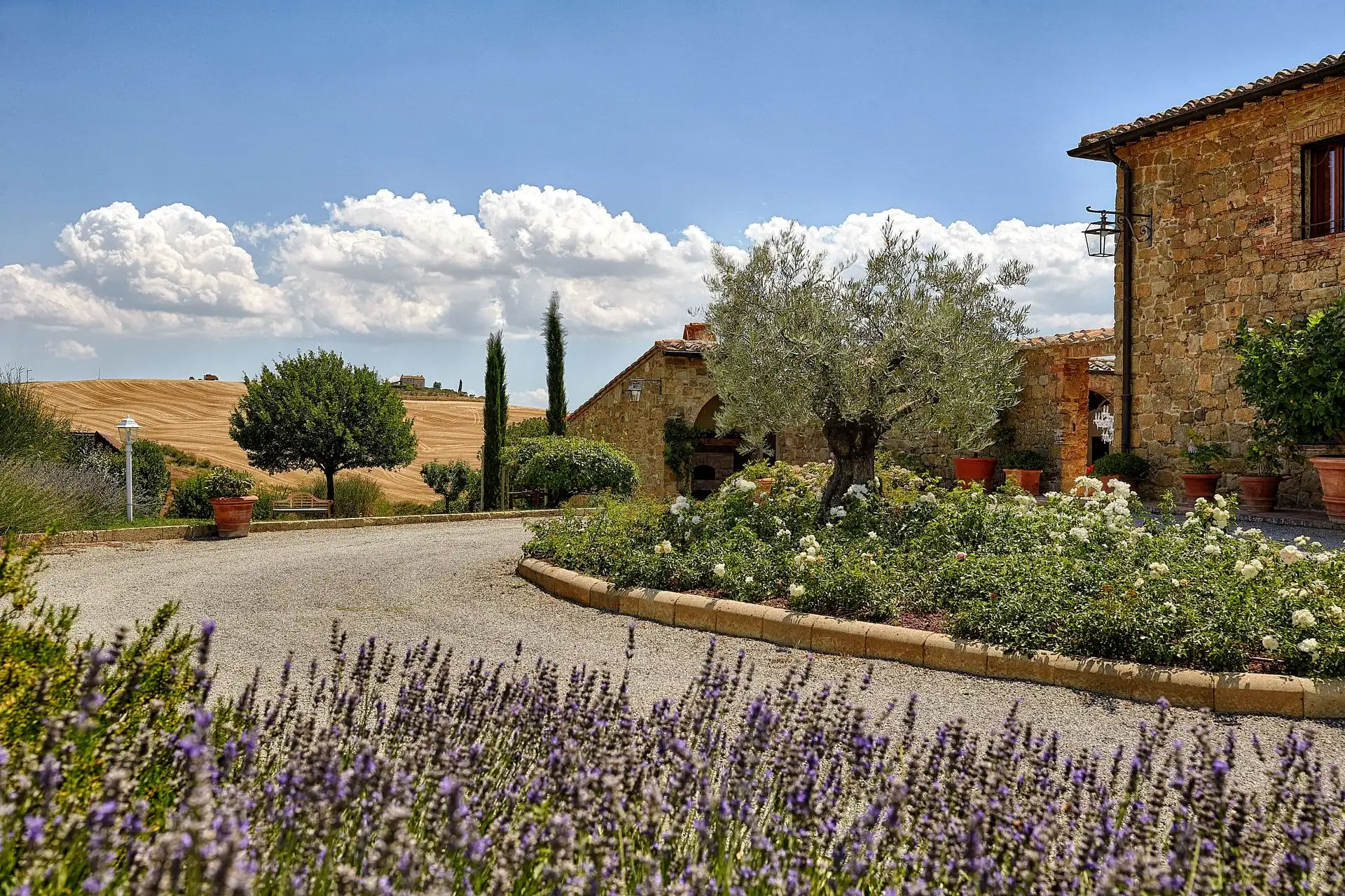 olmo podere a pienza wedding