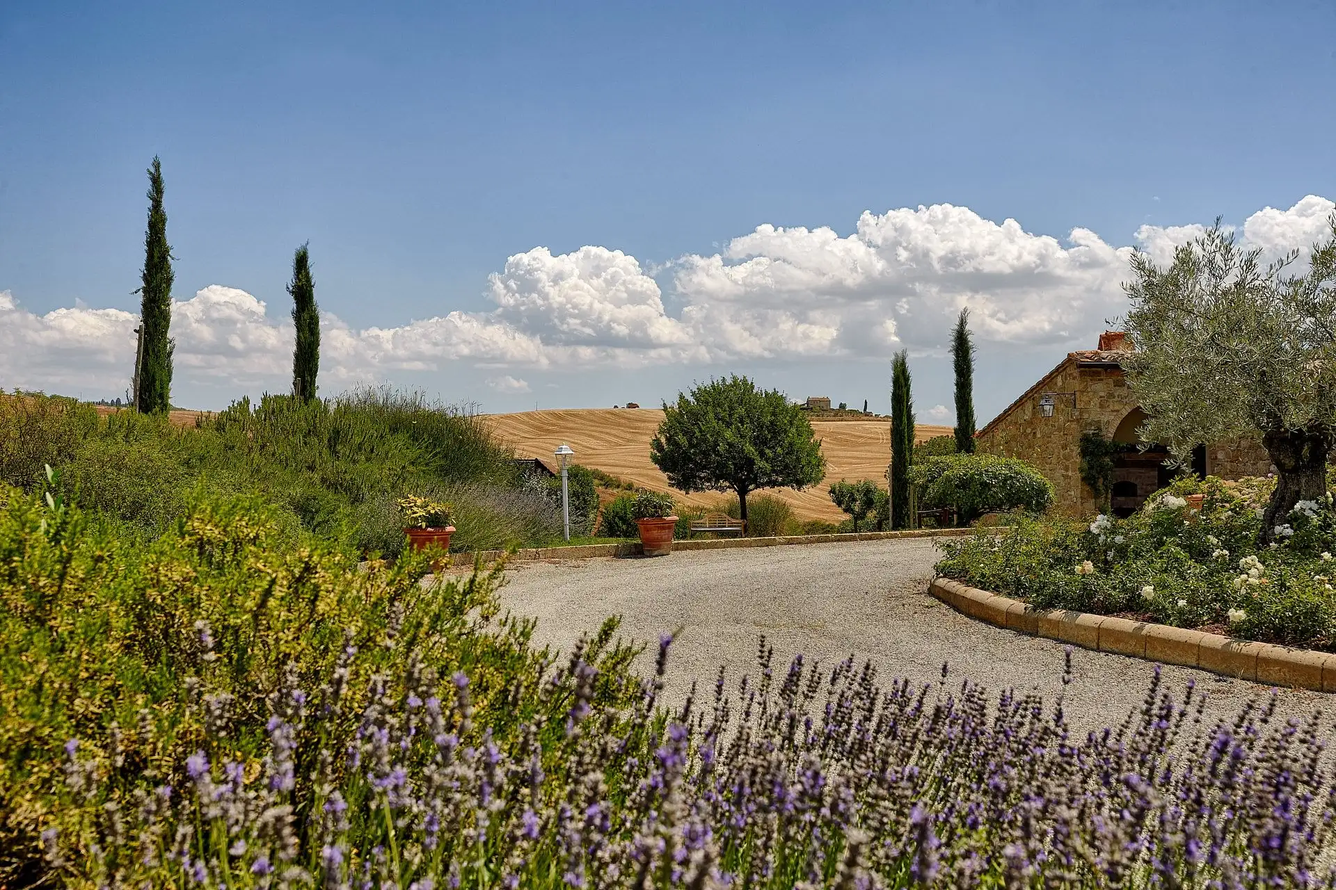 olmo podere a pienza wedding