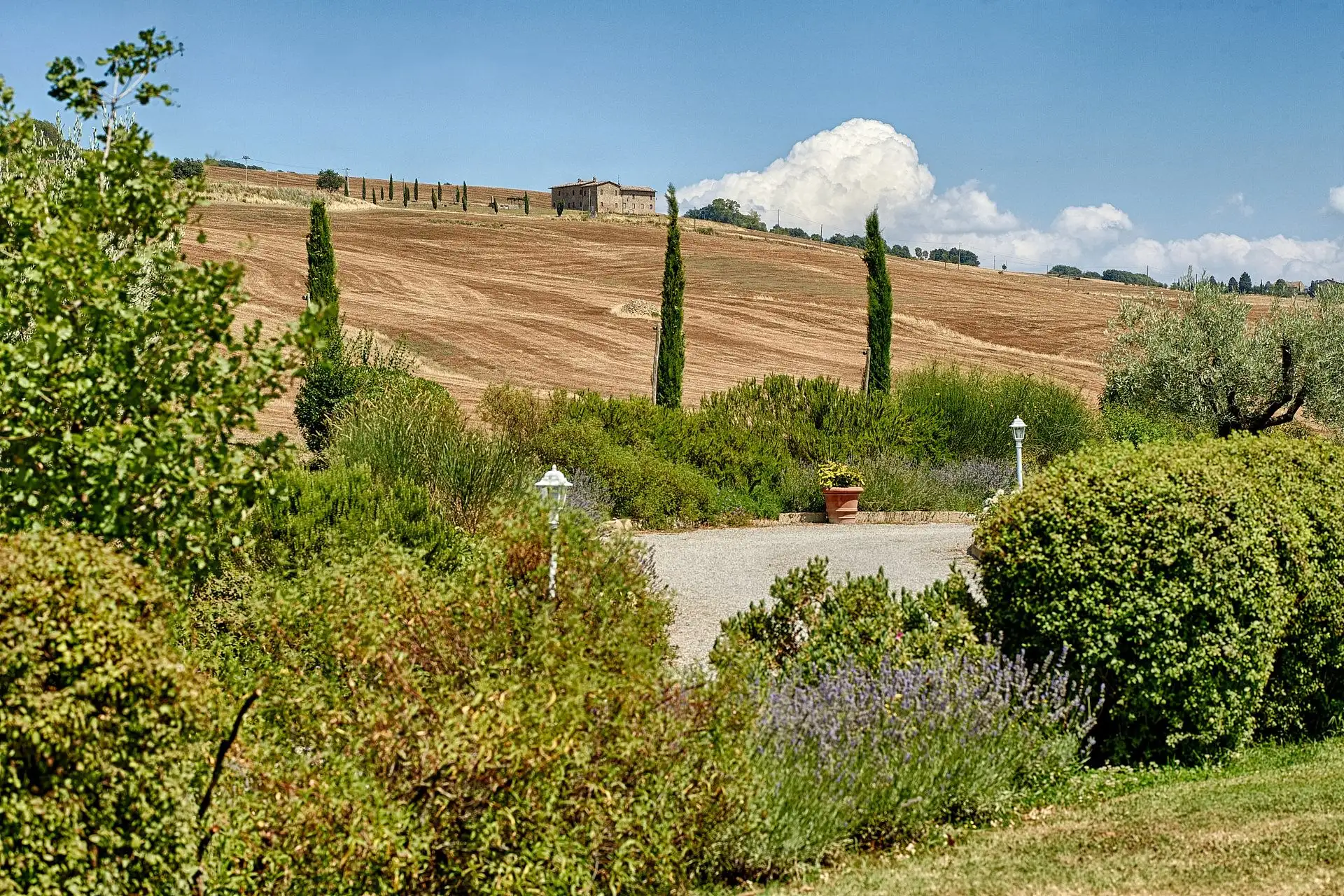olmo podere a pienza wedding
