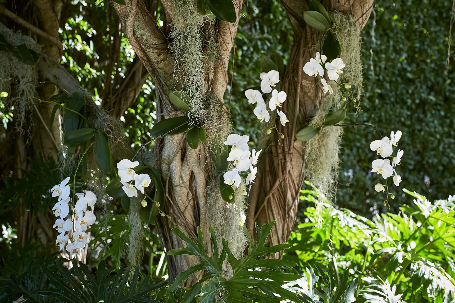 palm beach wedding flagler museum florida