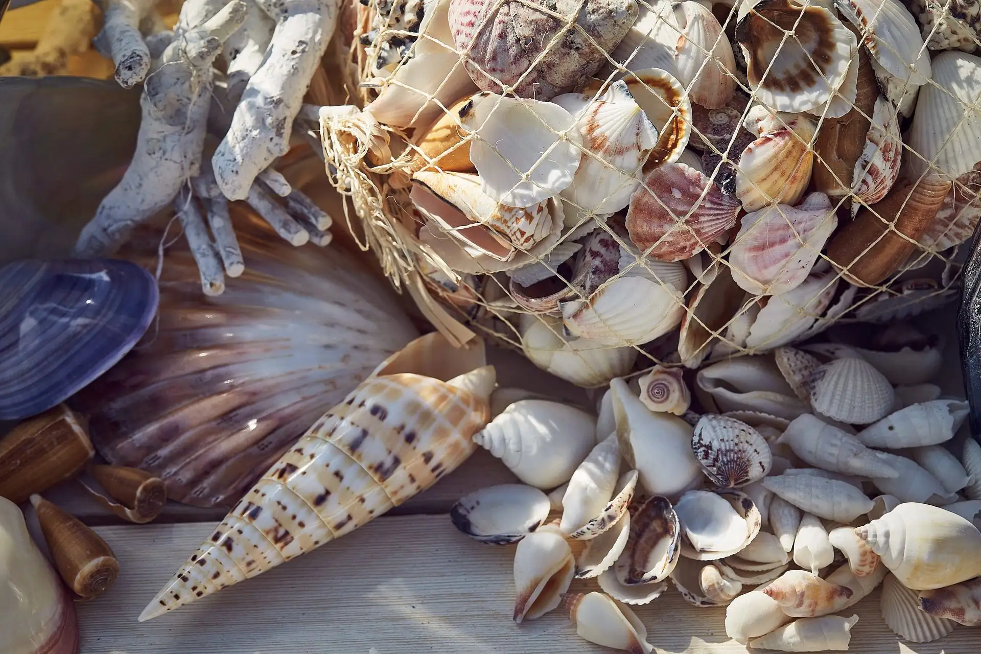 perfect sardinia beach party