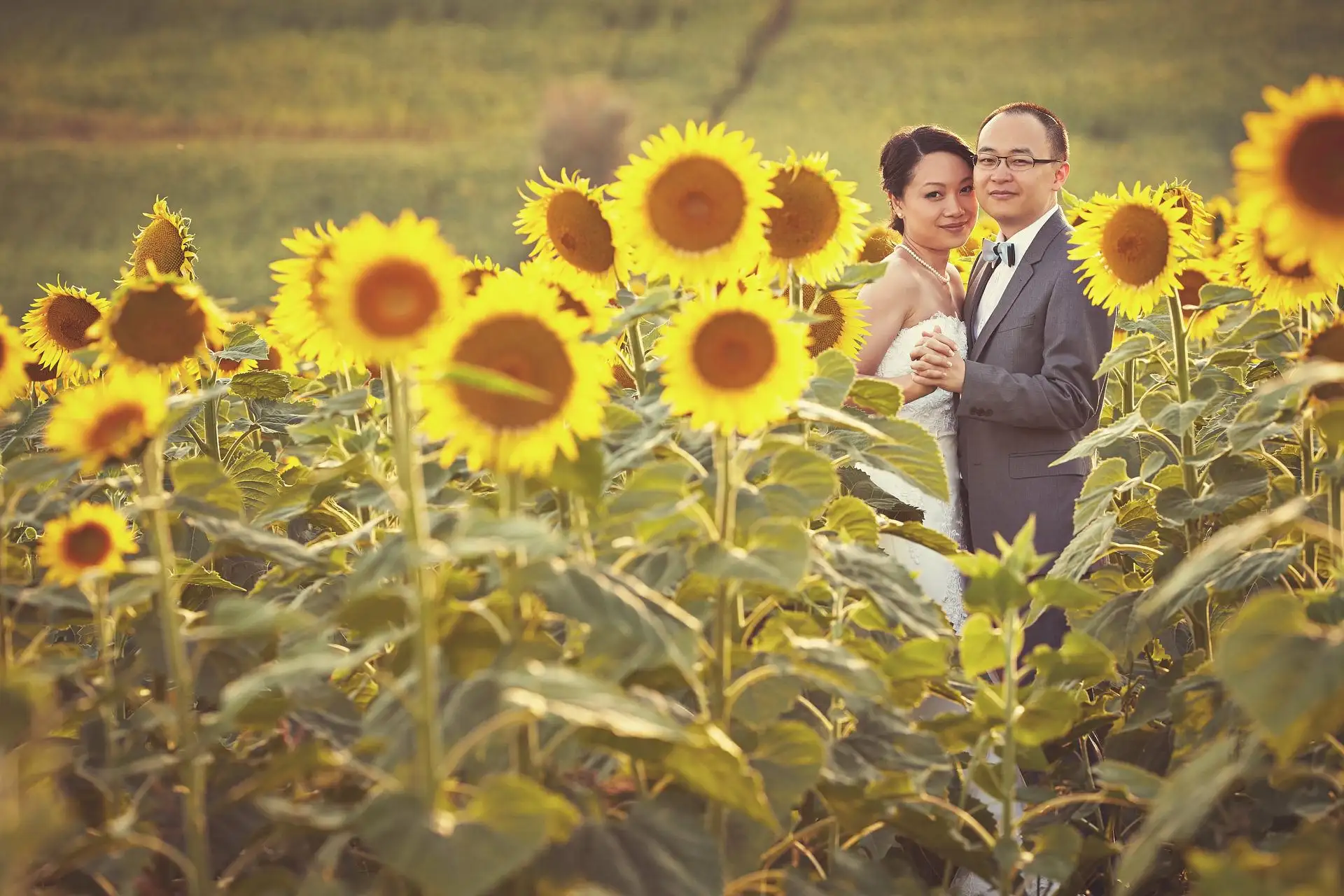pre wedding italy