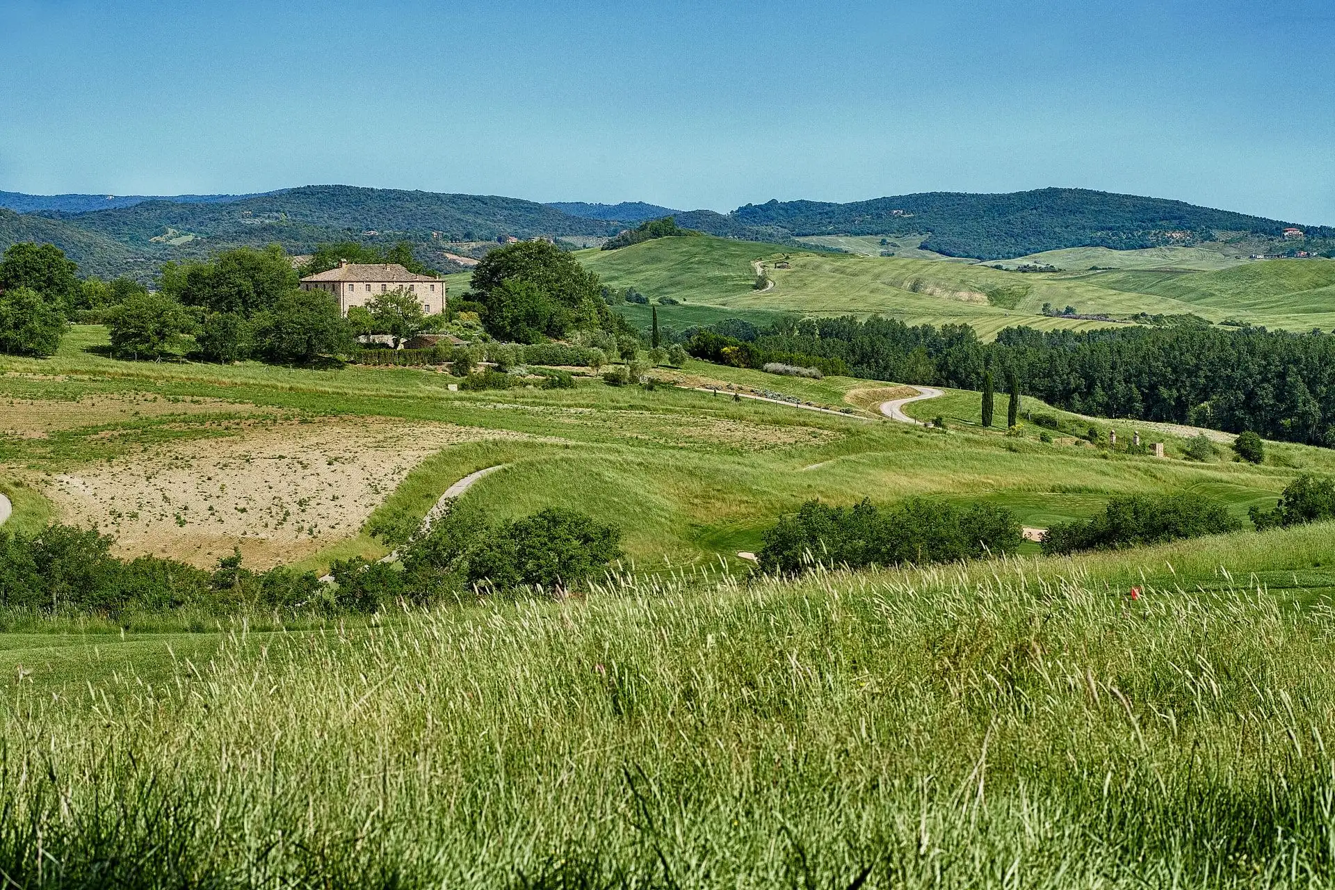 rosewood castiglion del bosco wedding