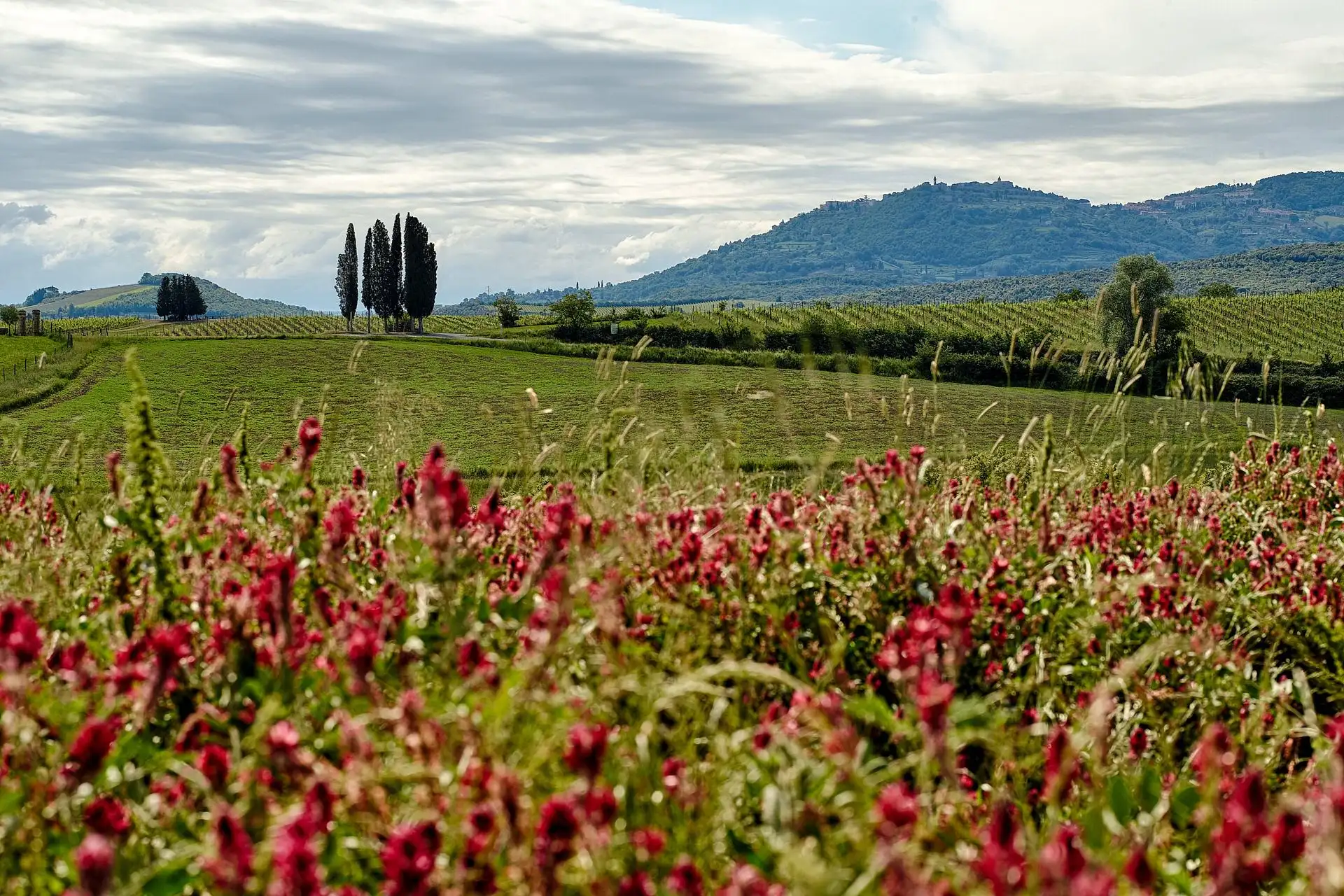 rosewood castiglion del bosco wedding