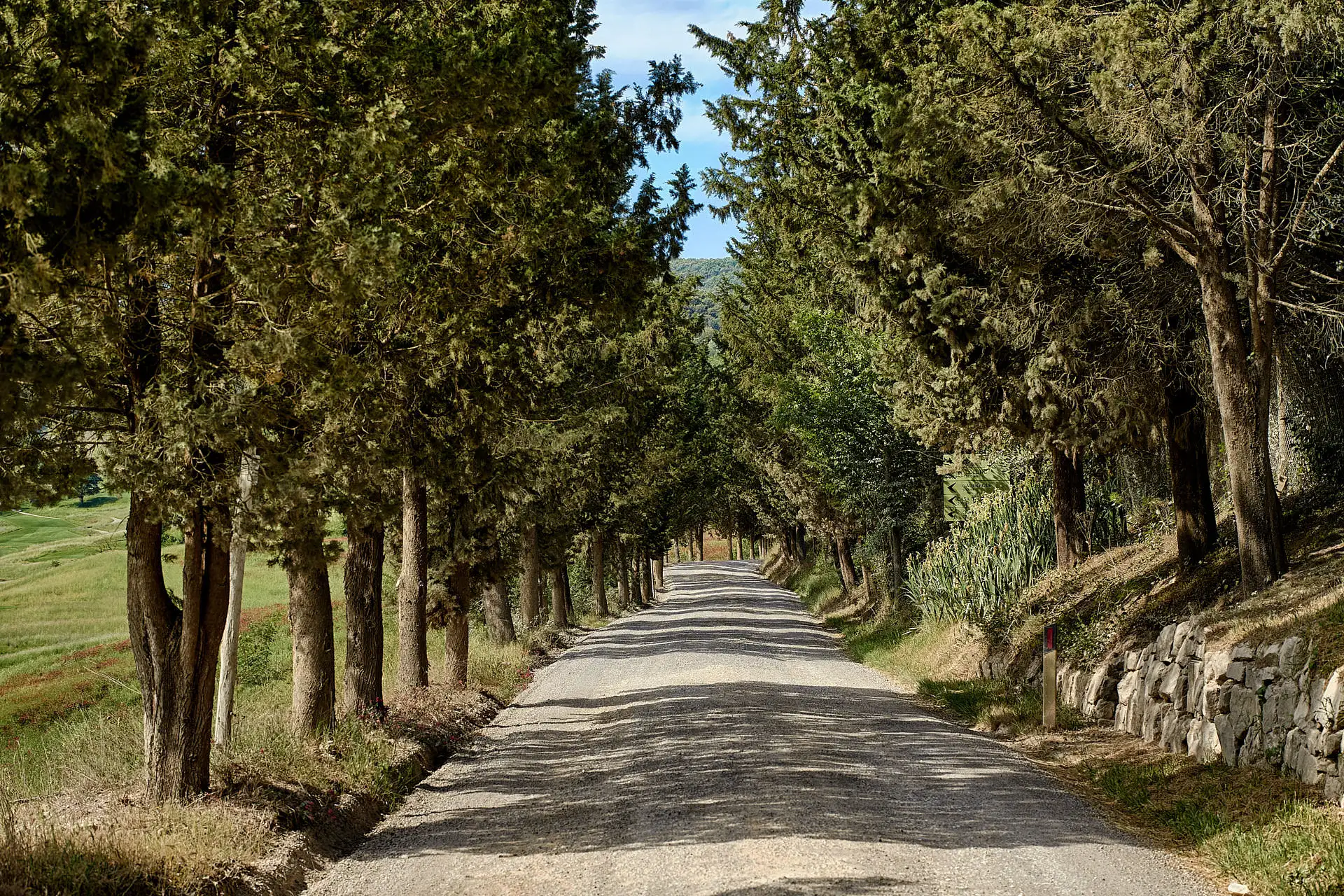 rosewood castiglion del bosco wedding