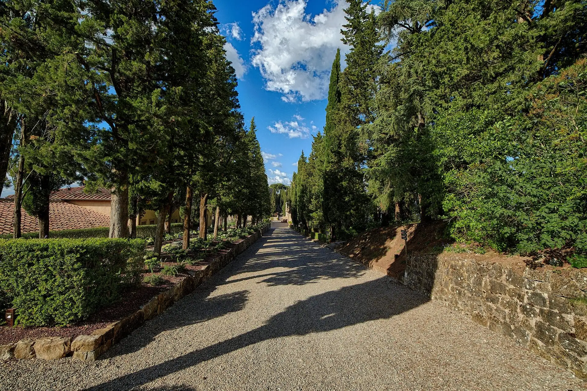 rosewood castiglion del bosco wedding