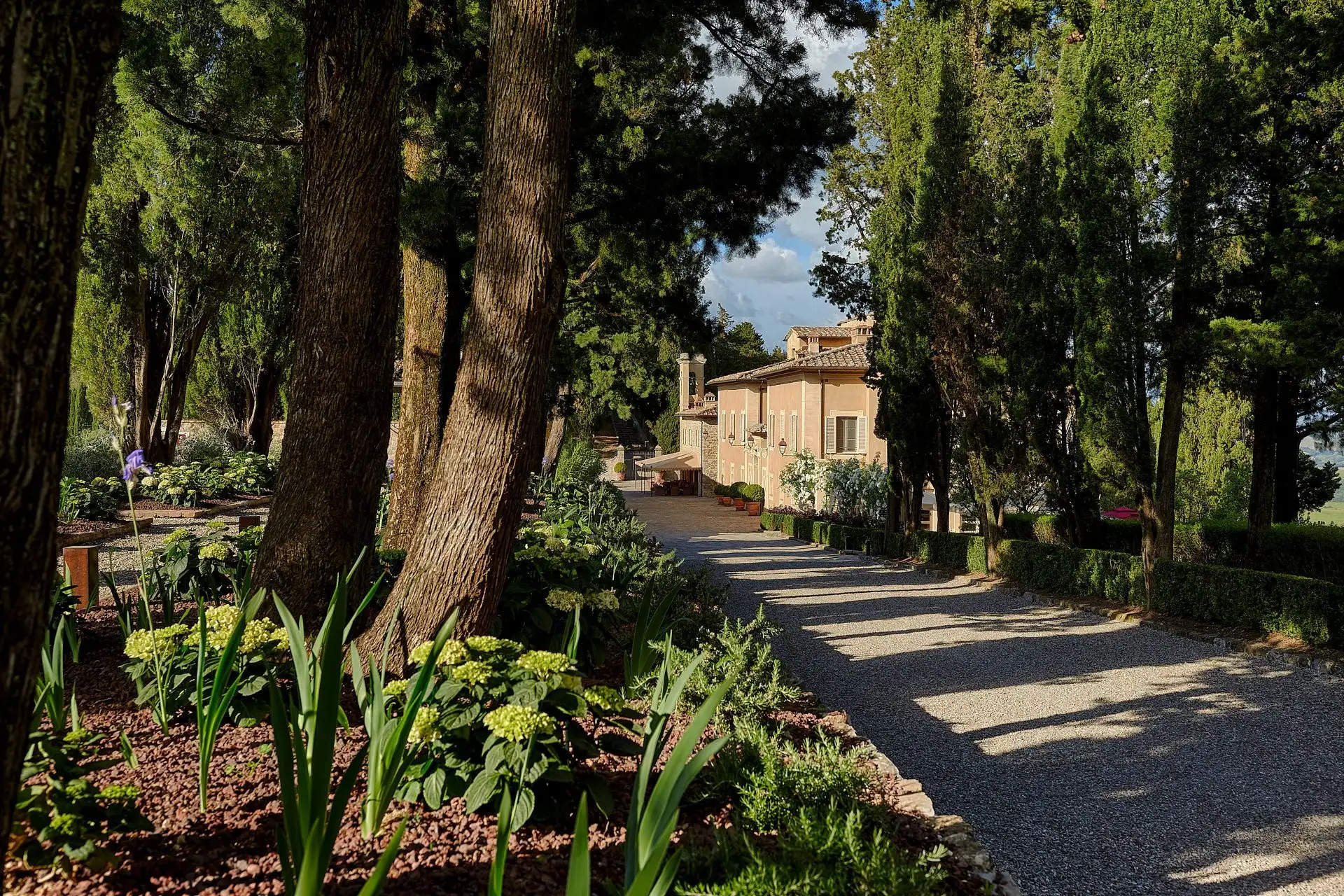 rosewood castiglion del bosco wedding