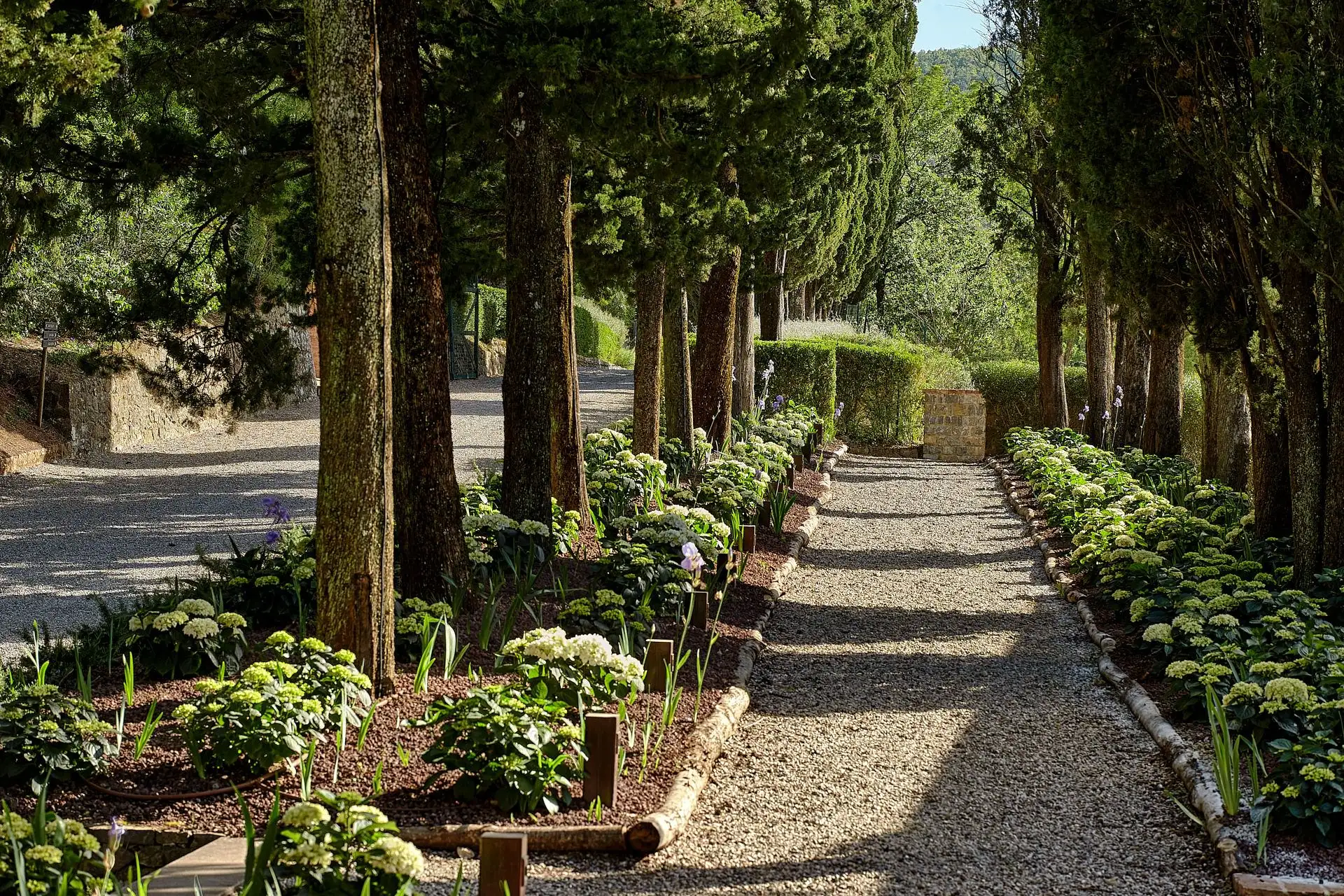 rosewood castiglion del bosco wedding