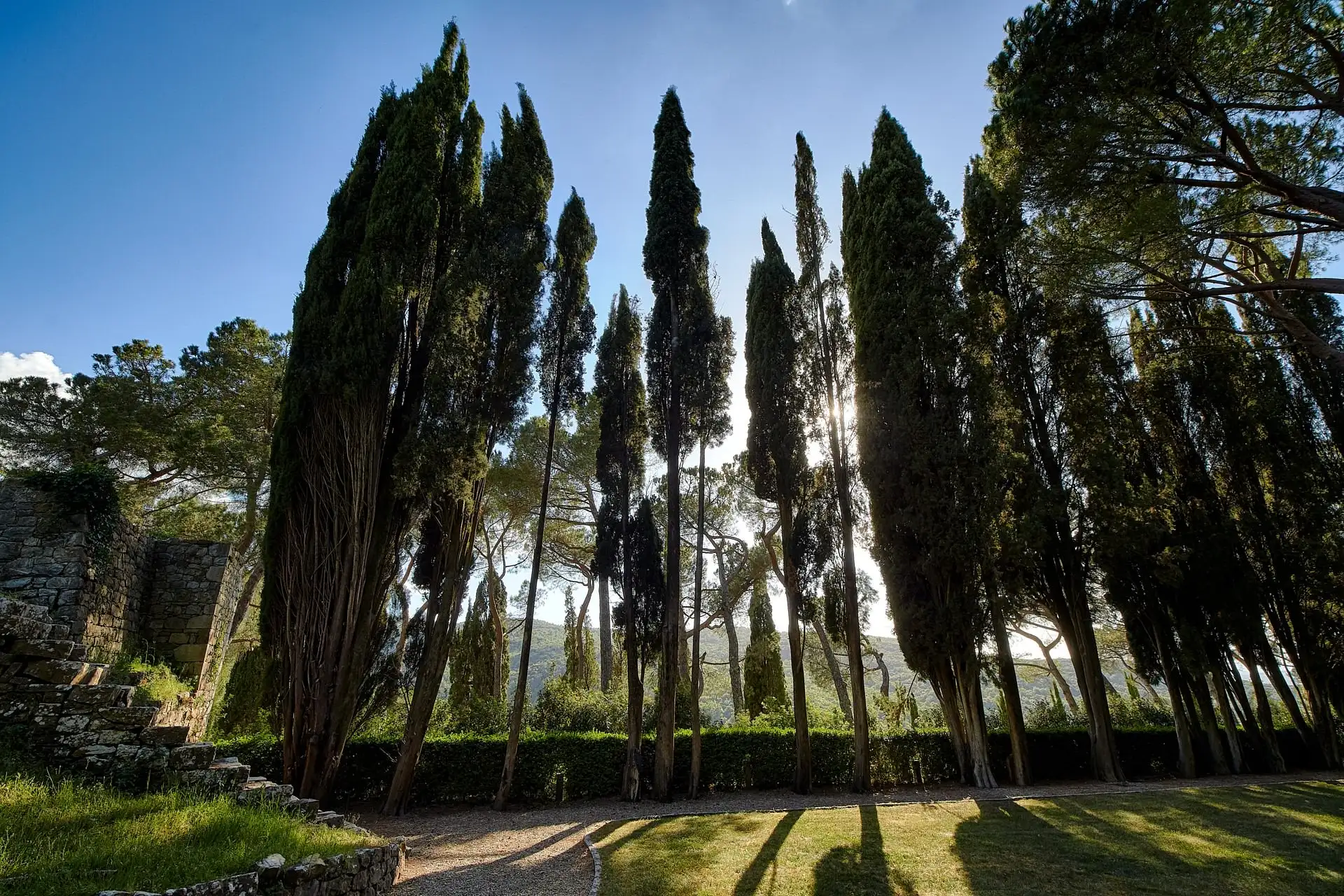 rosewood castiglion del bosco wedding
