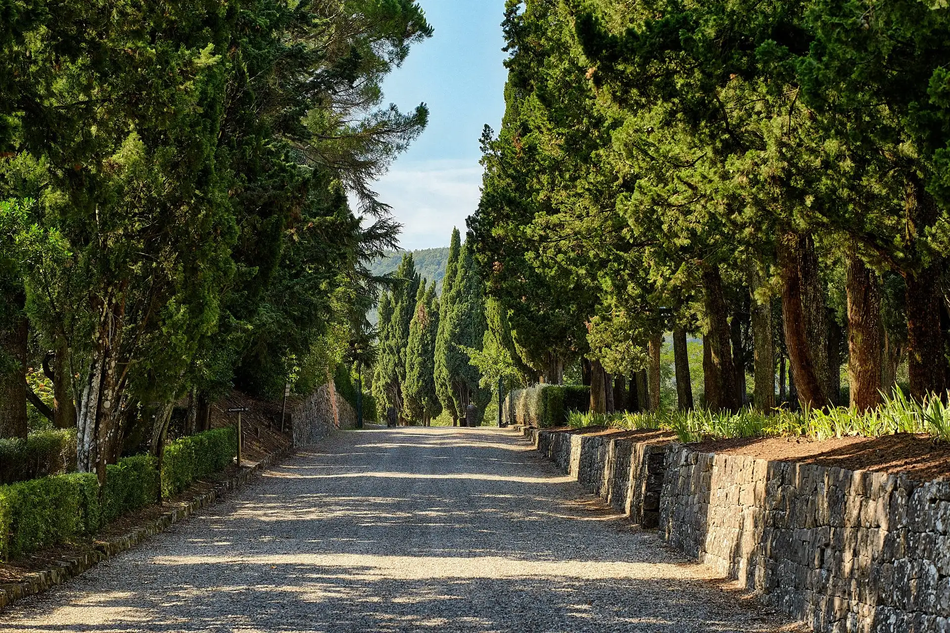 san quirico dorcia elopement