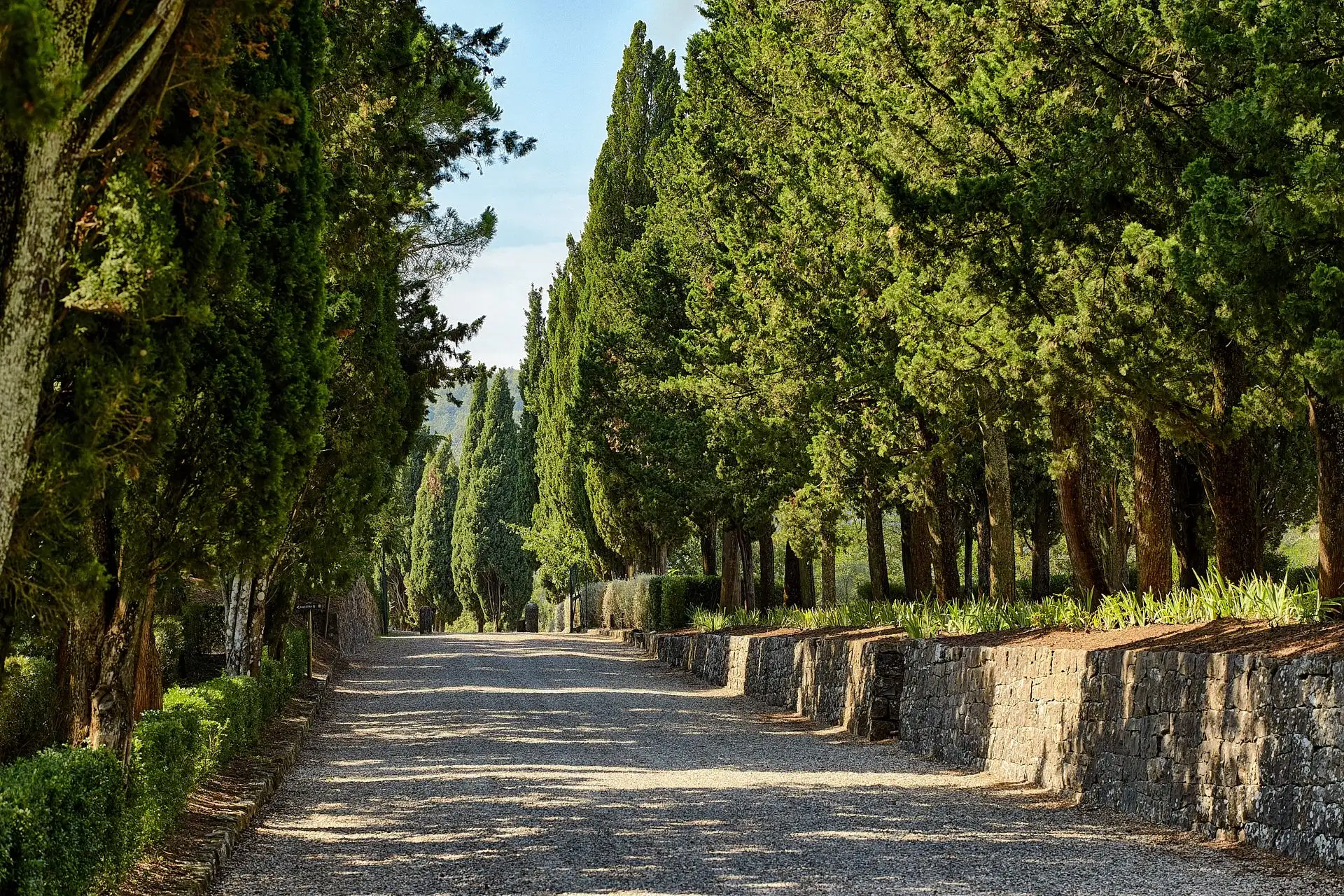 san quirico dorcia elopement