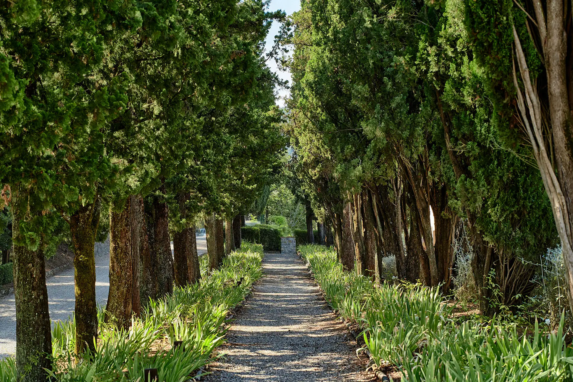 san quirico dorcia elopement