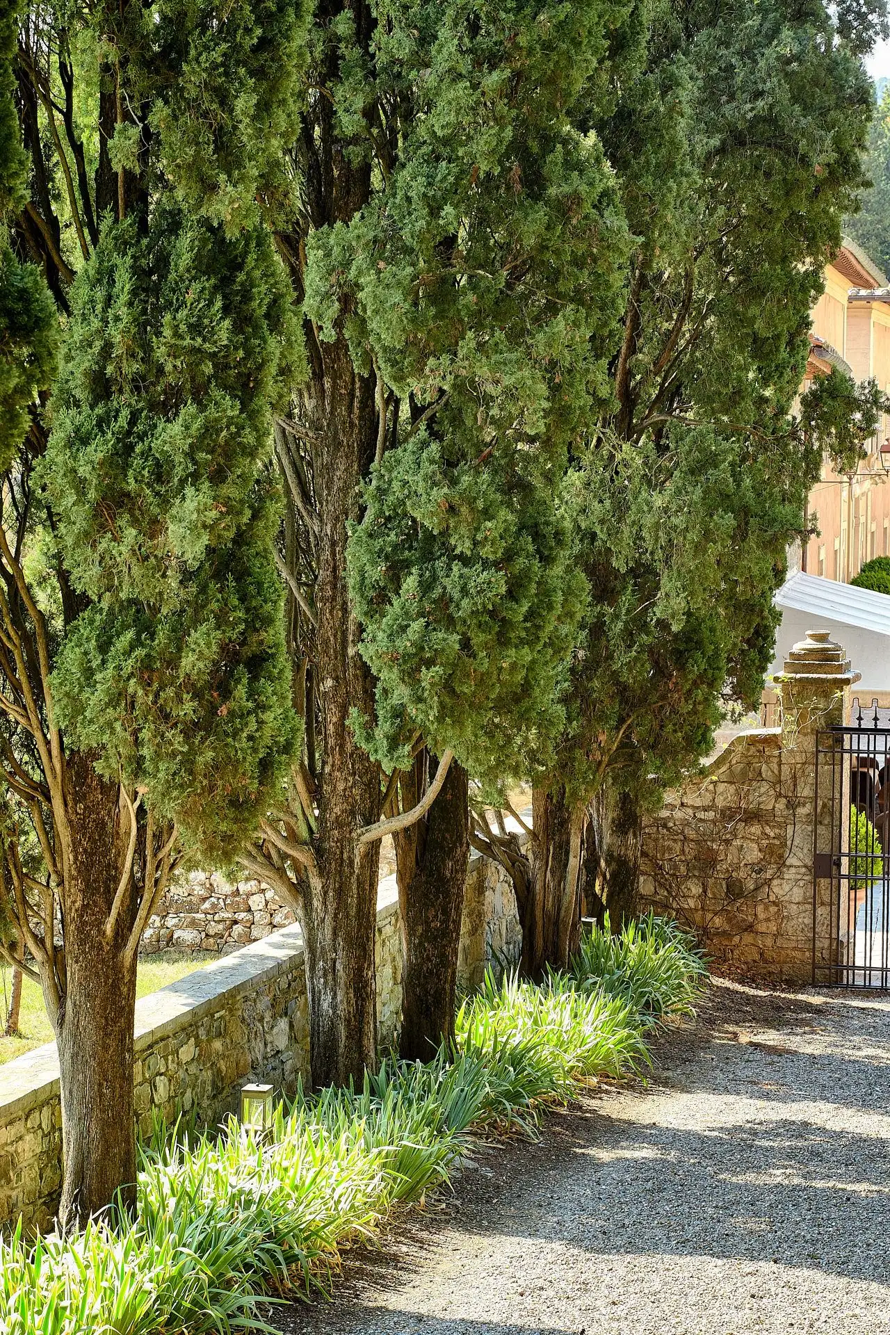 san quirico dorcia elopement