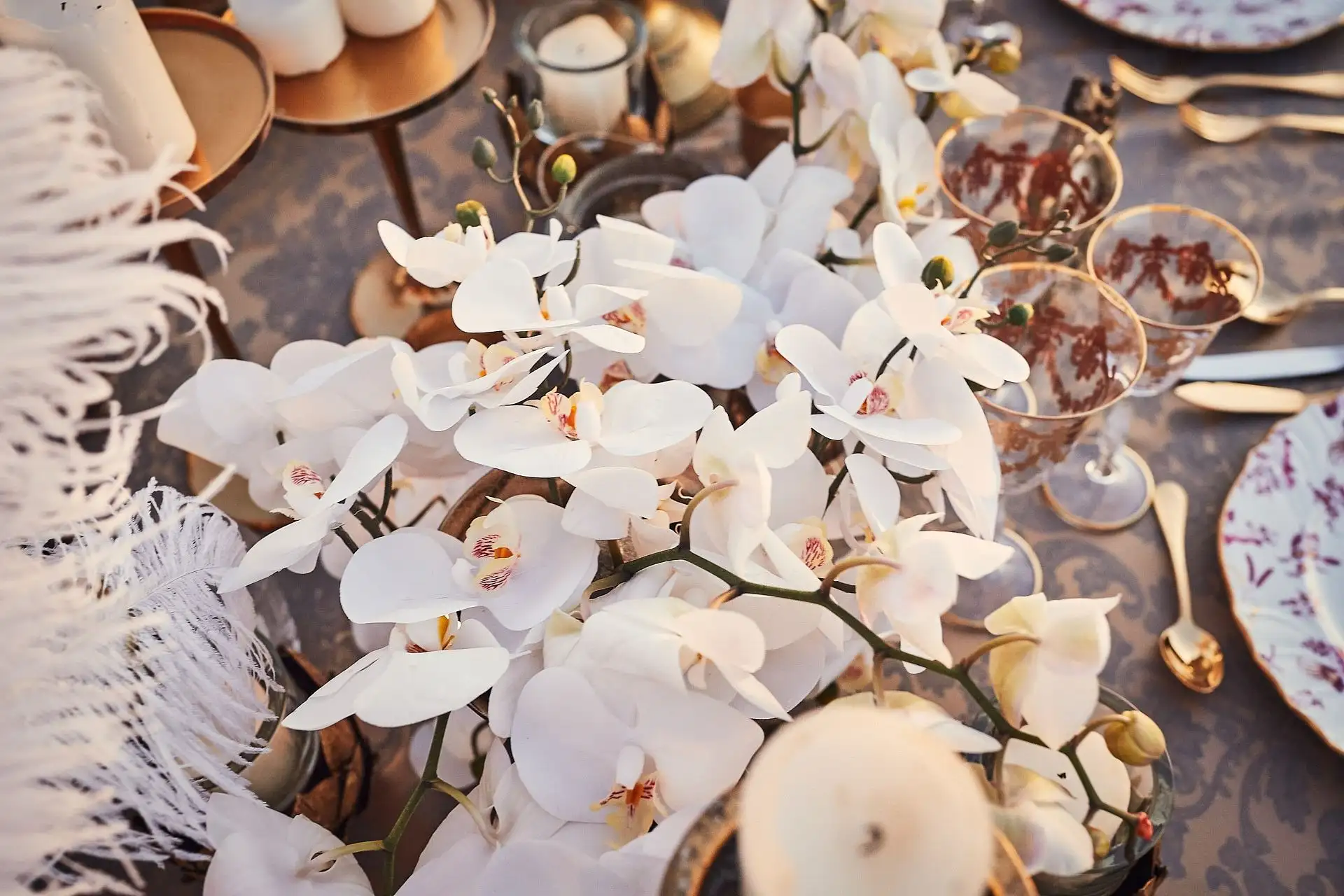 seaside elopement tuscany